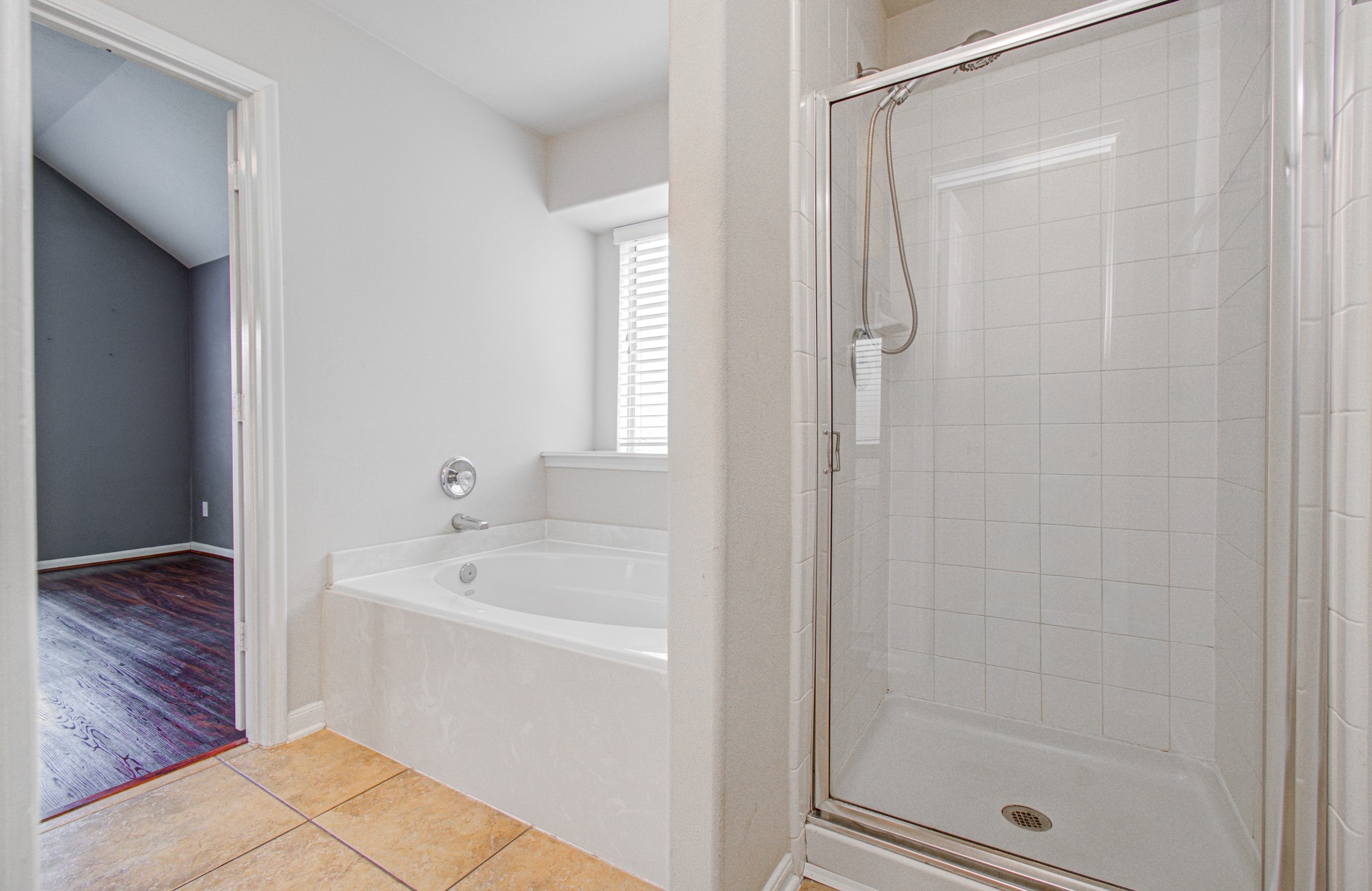 Soaking tub and a separate walk-in shower