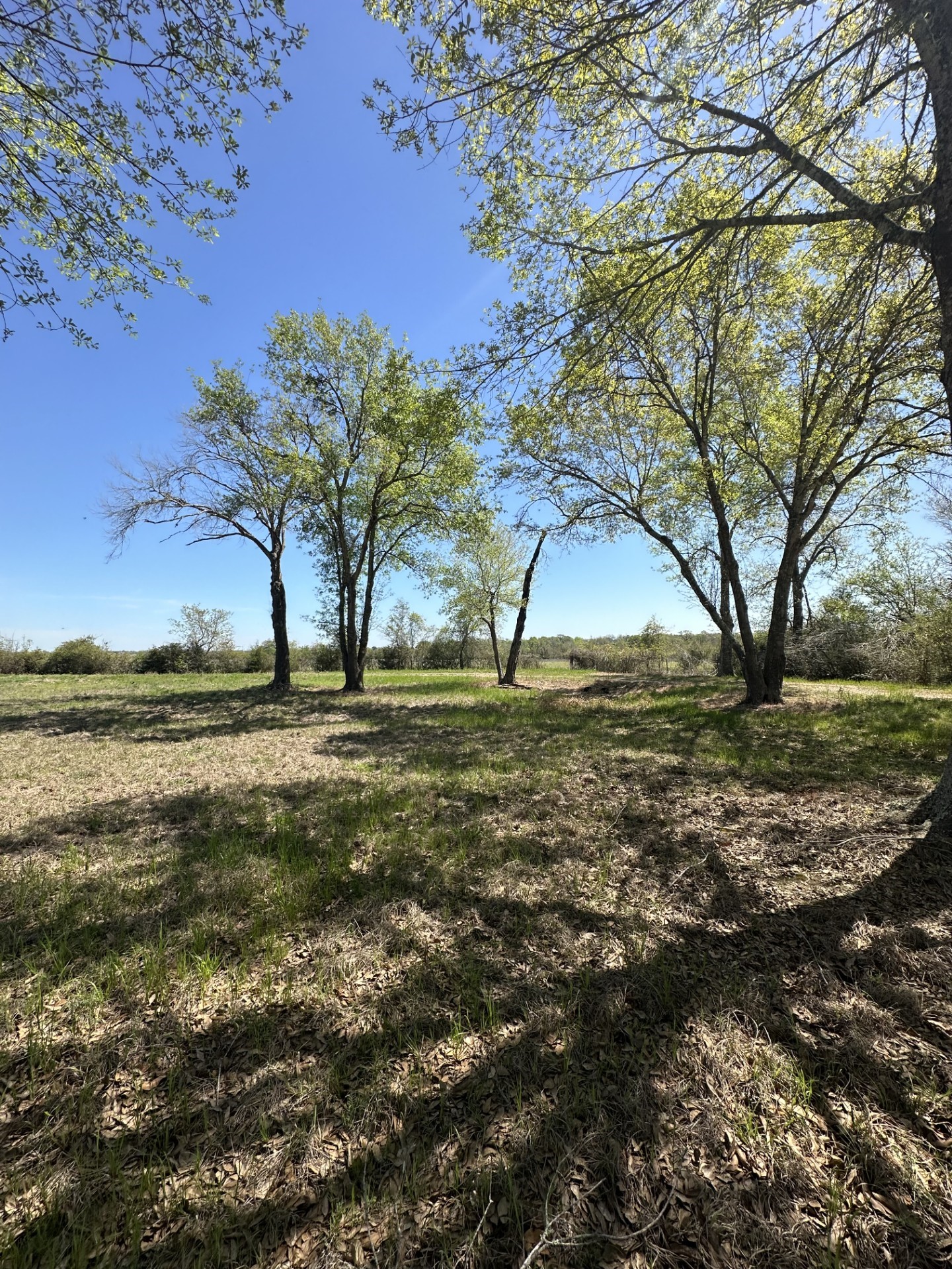 38003 FM 1488, Hempstead, TX 77445