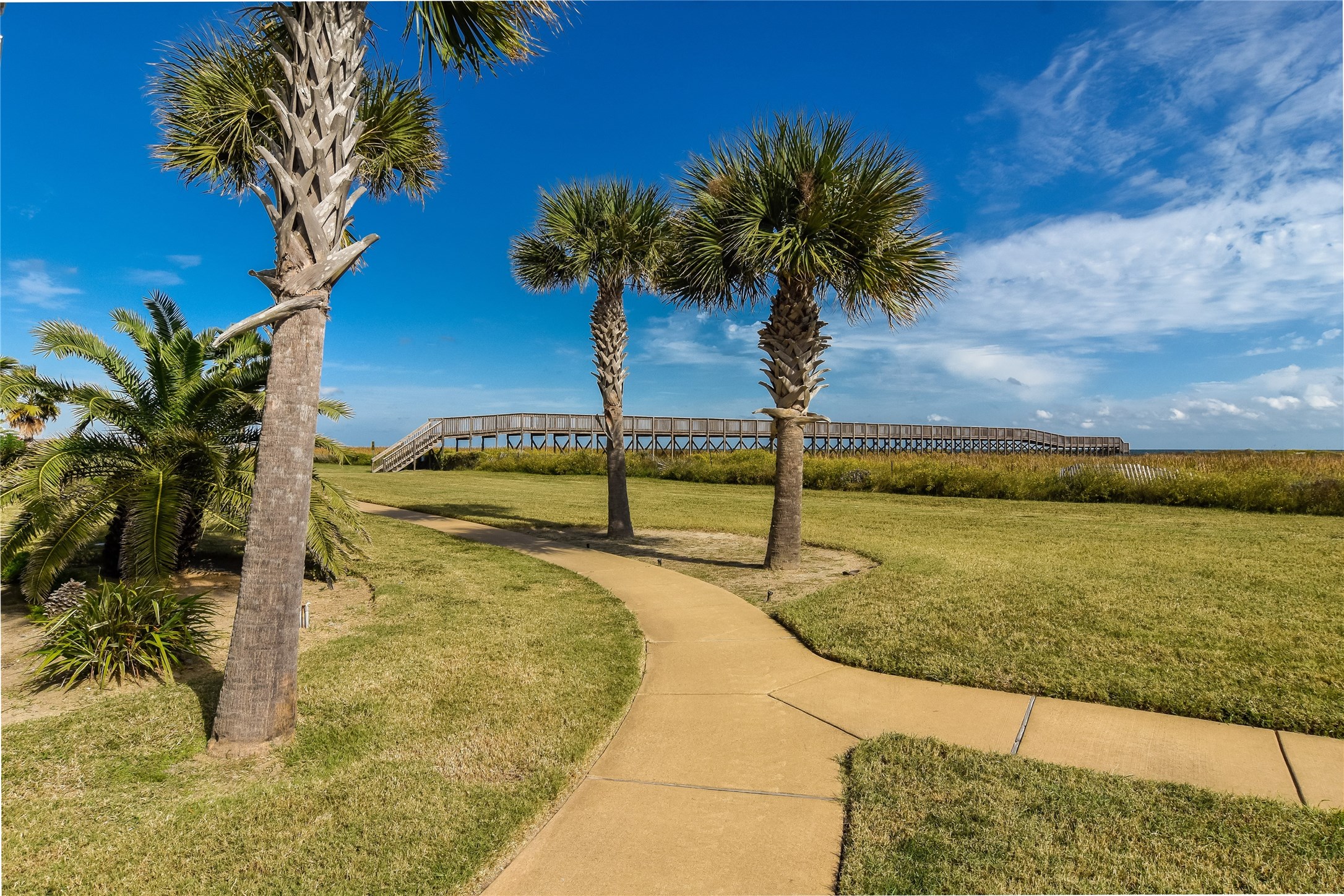 26350 Cat Tail, #102, Galveston, TX 77554