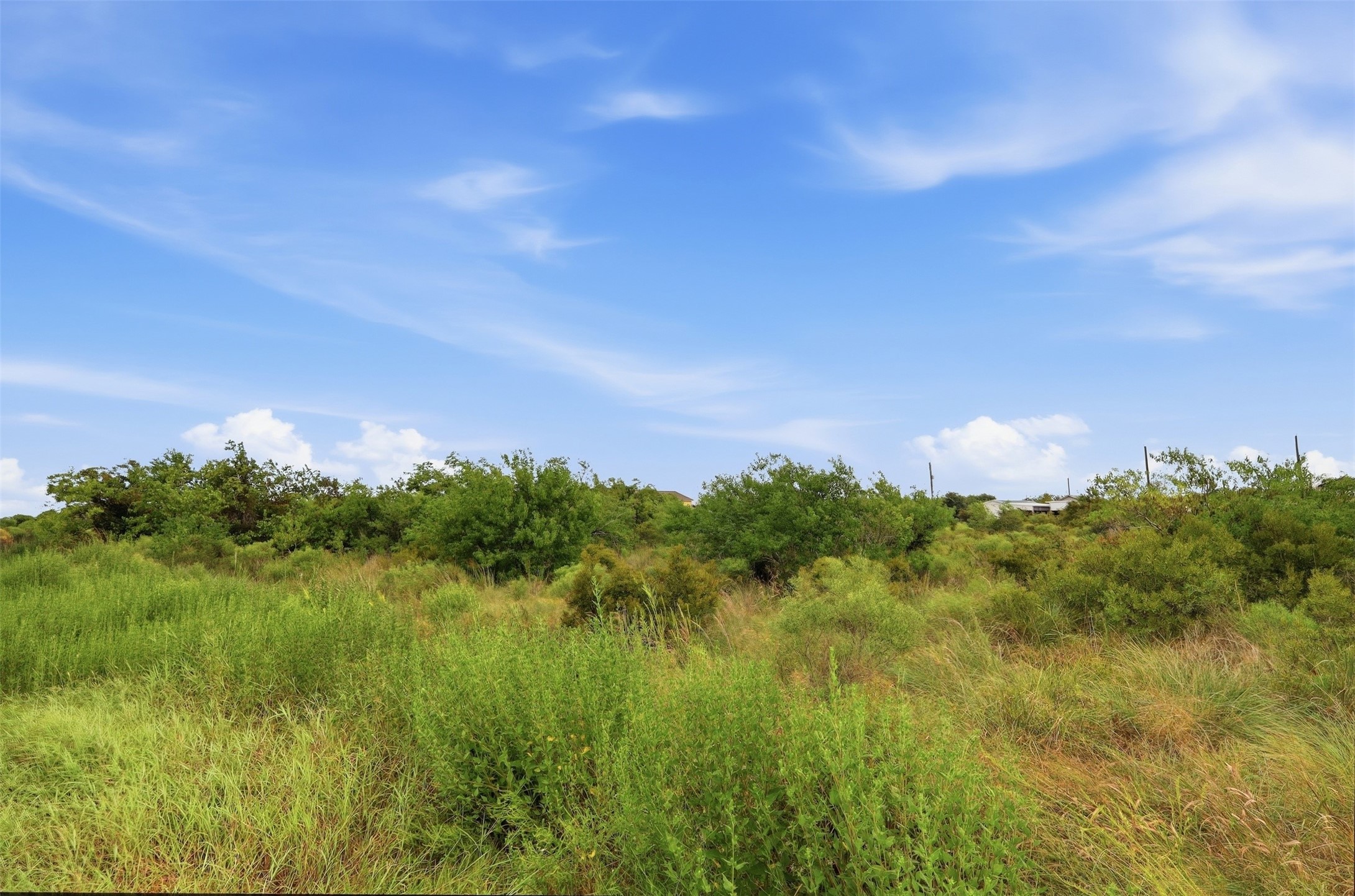 Ground-level view across the lot's natural grasses and shrubs. The open sky and treeline show the size and character of the property.