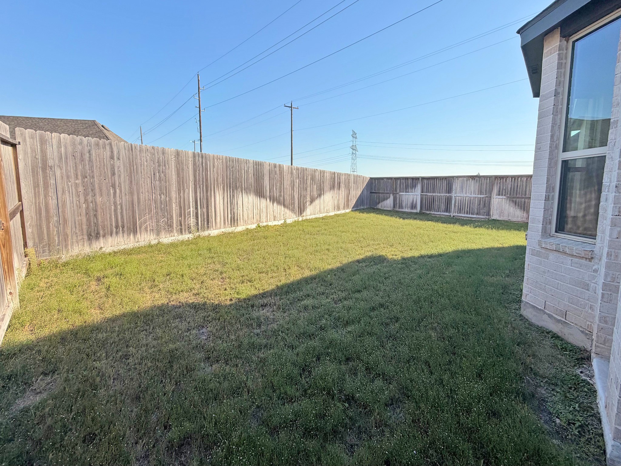 Back Yard