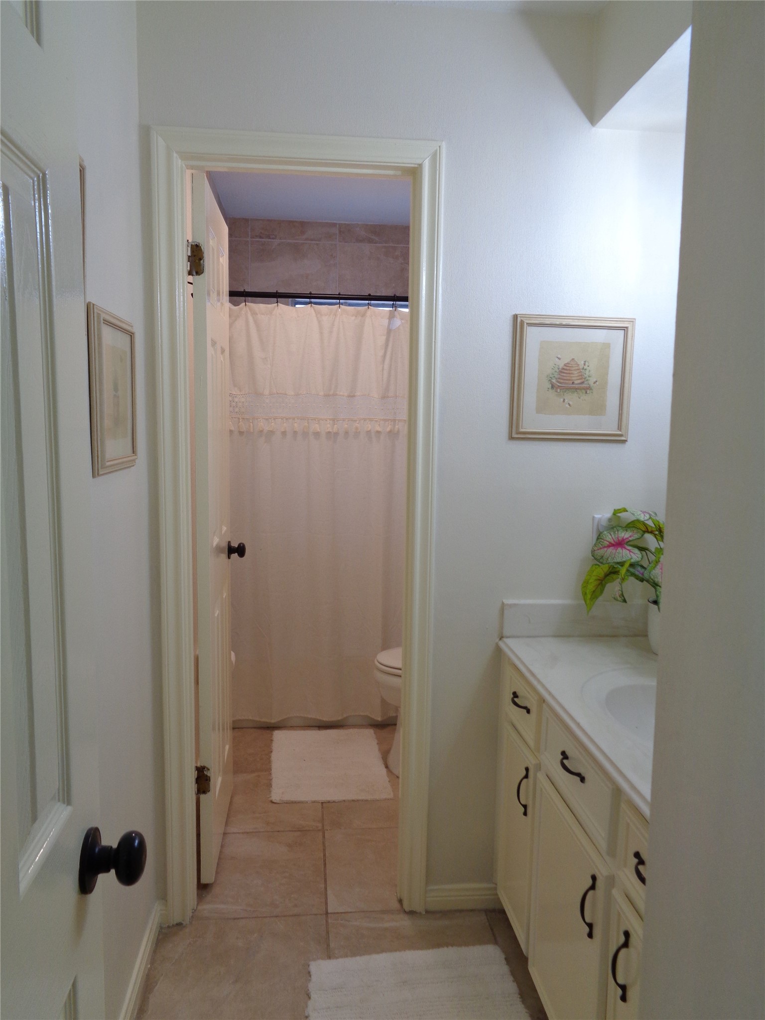 Hall bath