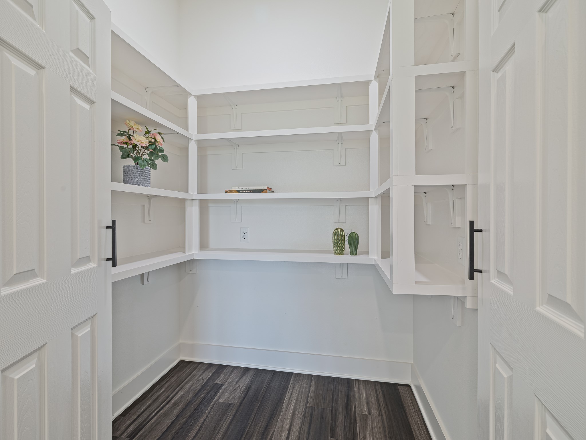 Tons of pantry storage