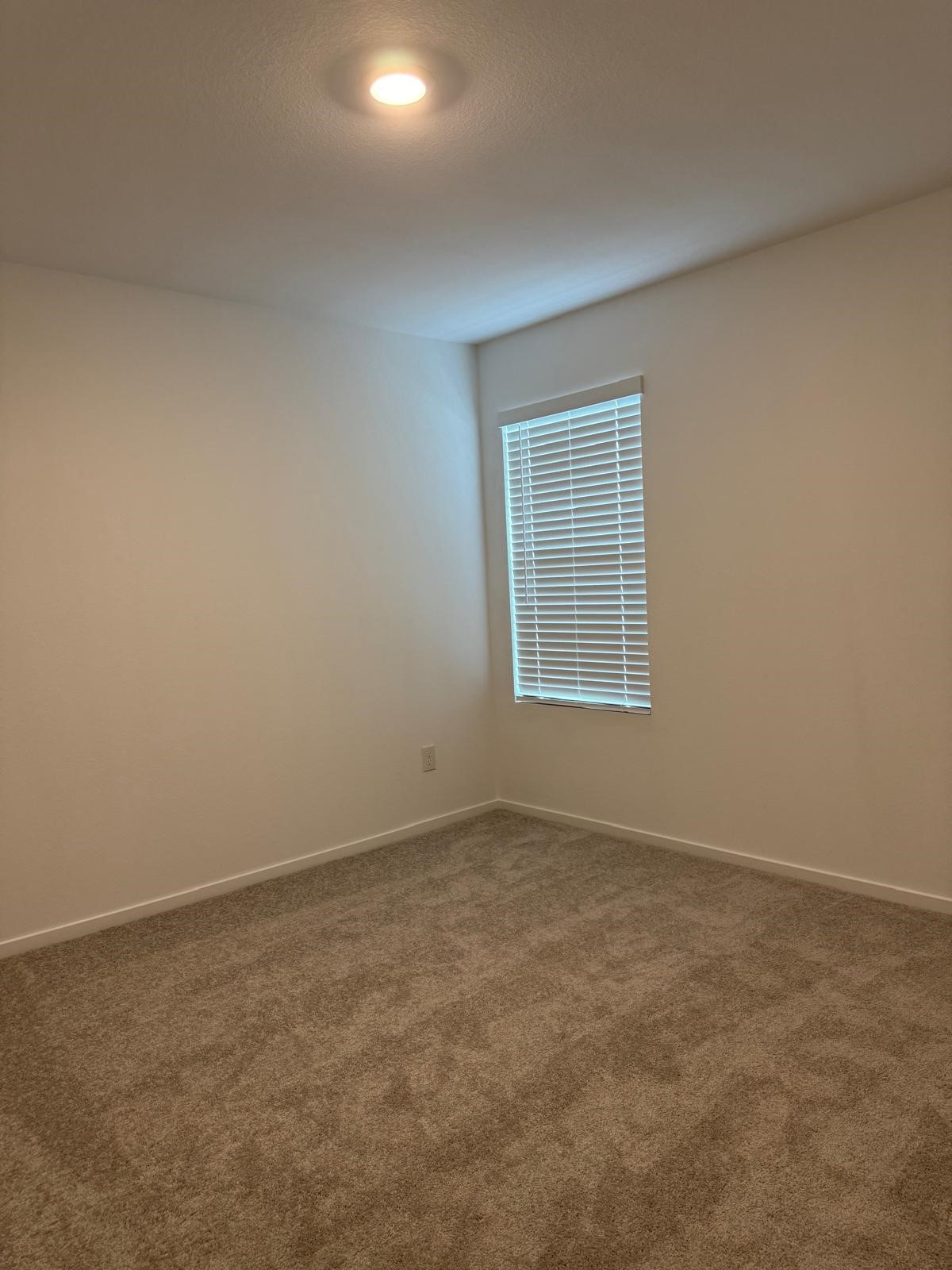 6015 Marshall Woods Lane, Humble, TX 77338