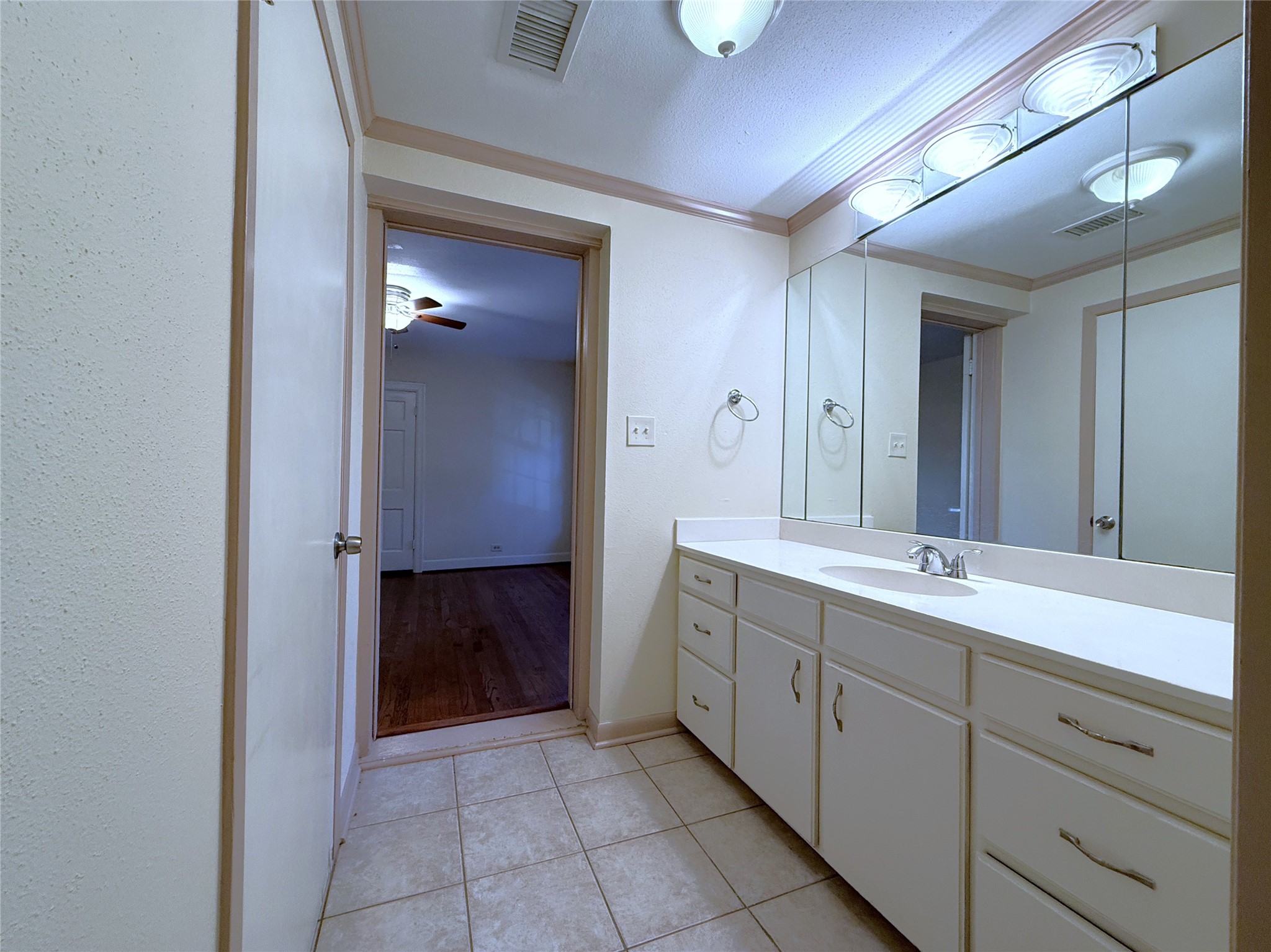 The primary bathroom offers an extended vanity with lots of storage. Behind the door on the left is a walk-in closet.