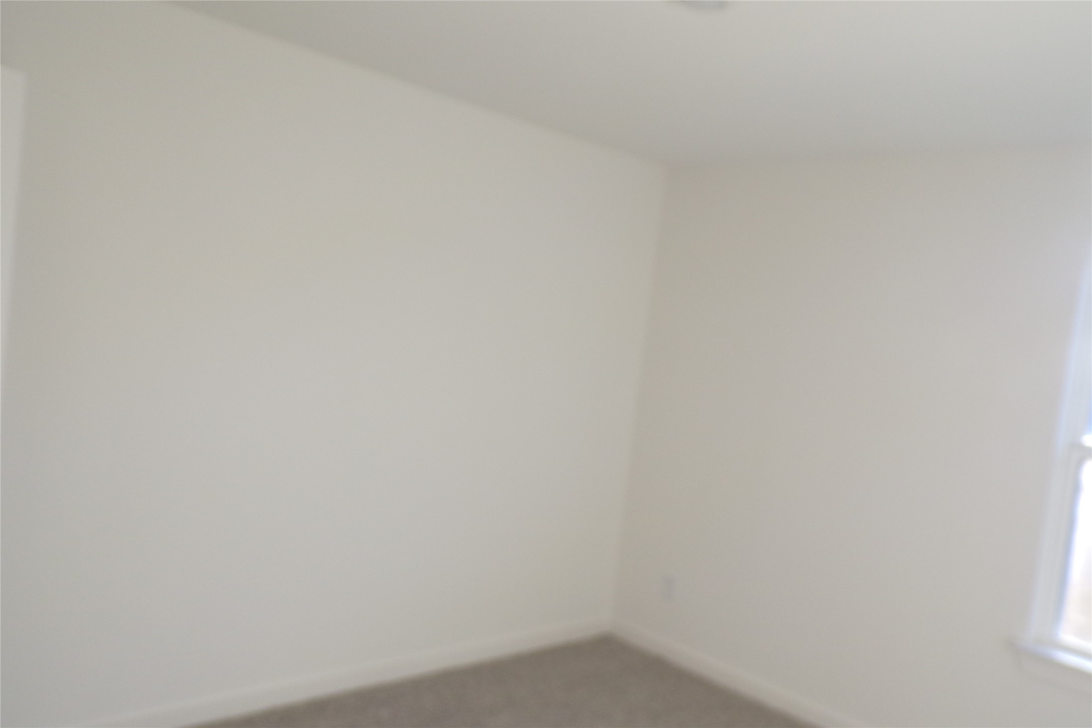 3550 Goldfinch Woods Drive, Katy, TX 77494