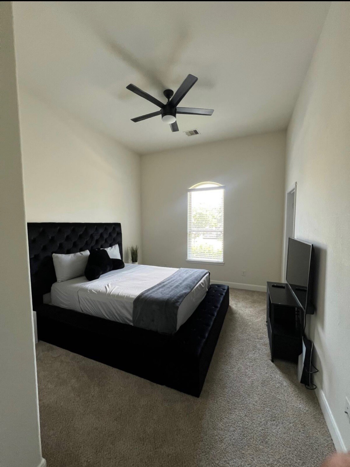 24106 Cane Fields Road, Katy, TX 77493