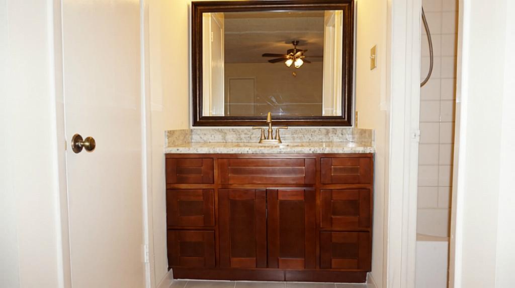 Master Bath Sink & Vanity