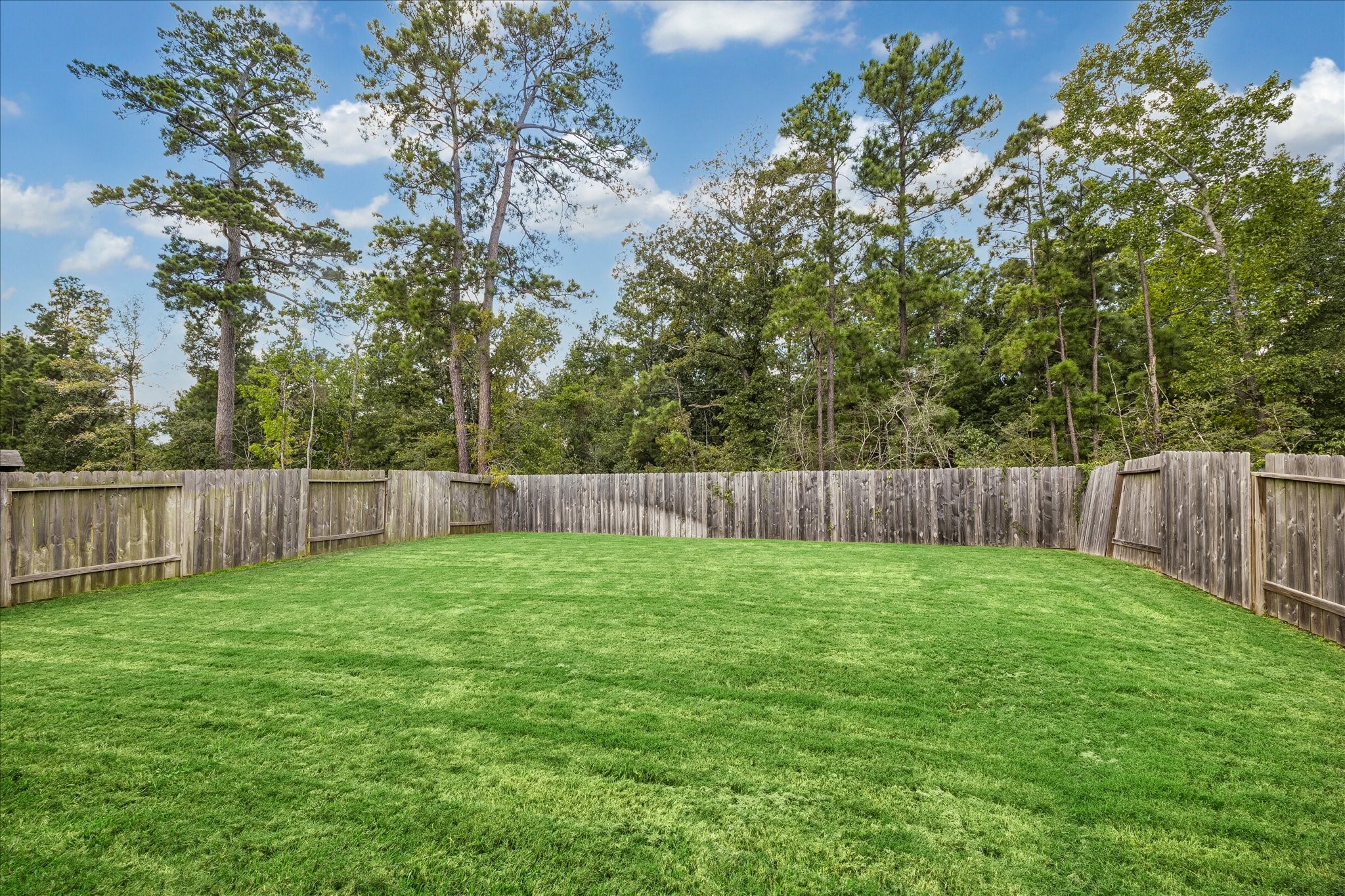 The backyard is truly a blank canvas! Great space to add a pool or large patio area.