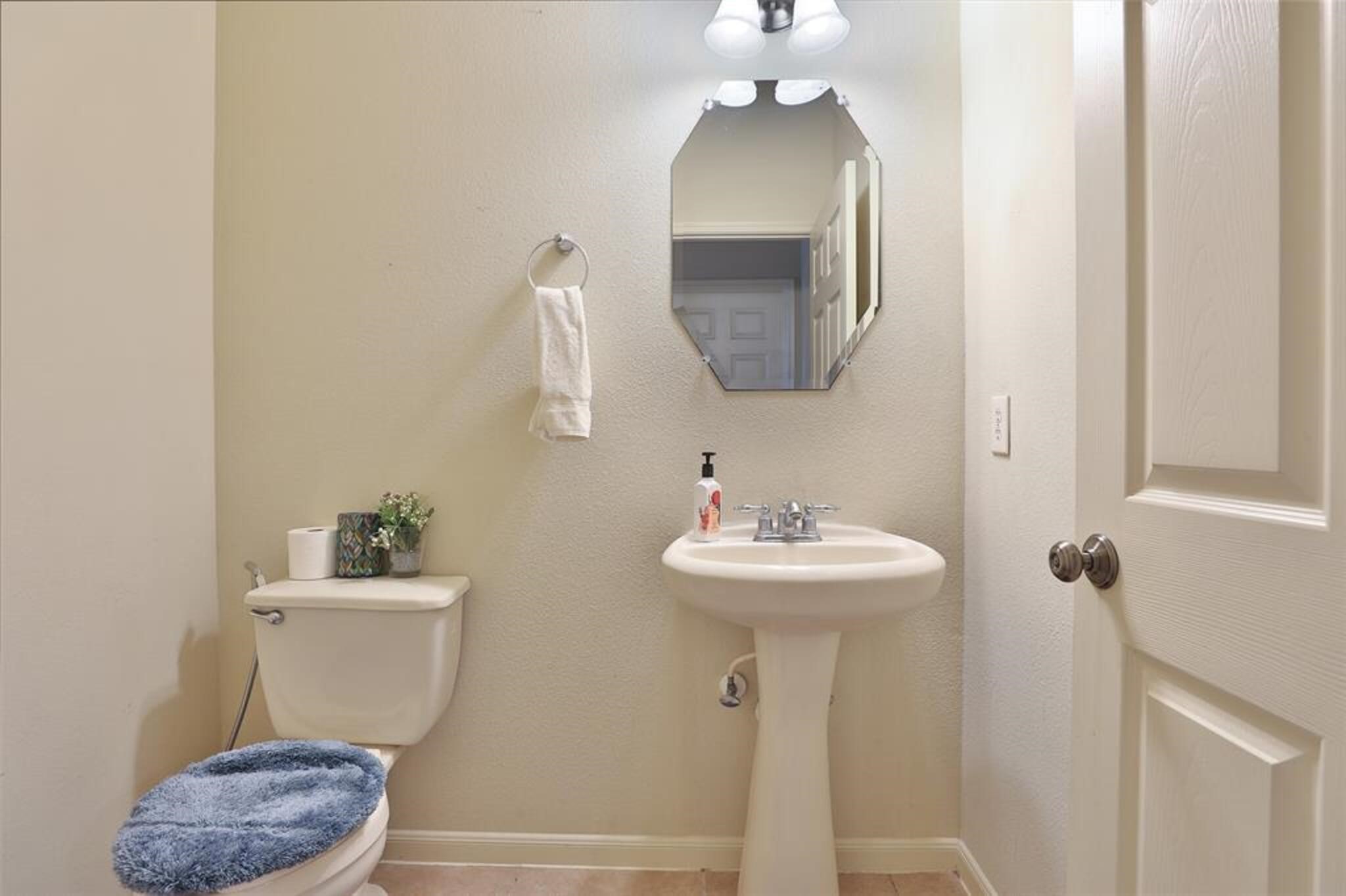 28103 Canyon Wren Drive, Katy, TX 77494