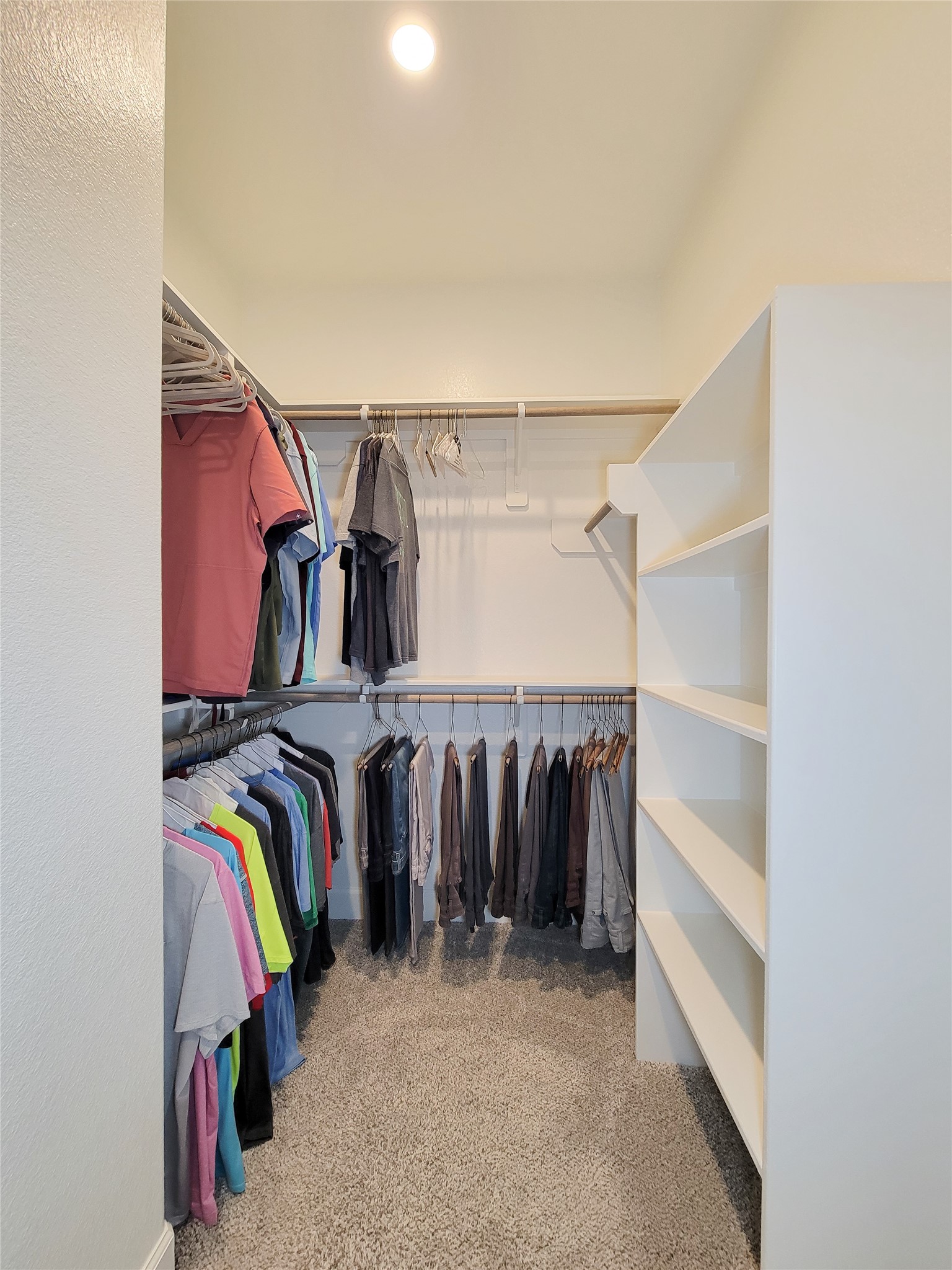 This photo shows a spacious walk-in closet with ample hanging space and built-in shelving, ideal for organized storage. The neutral color scheme and soft carpeting create a cozy atmosphere.