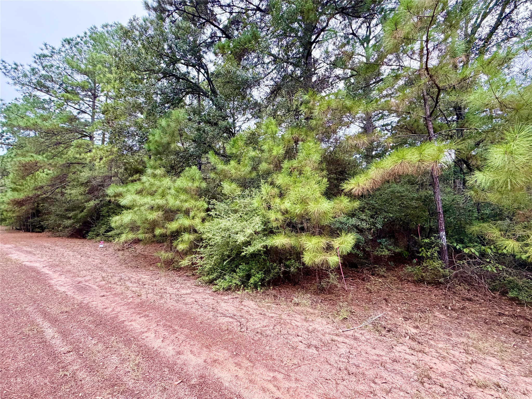 30819 Owl Drive, Hempstead, TX 77445