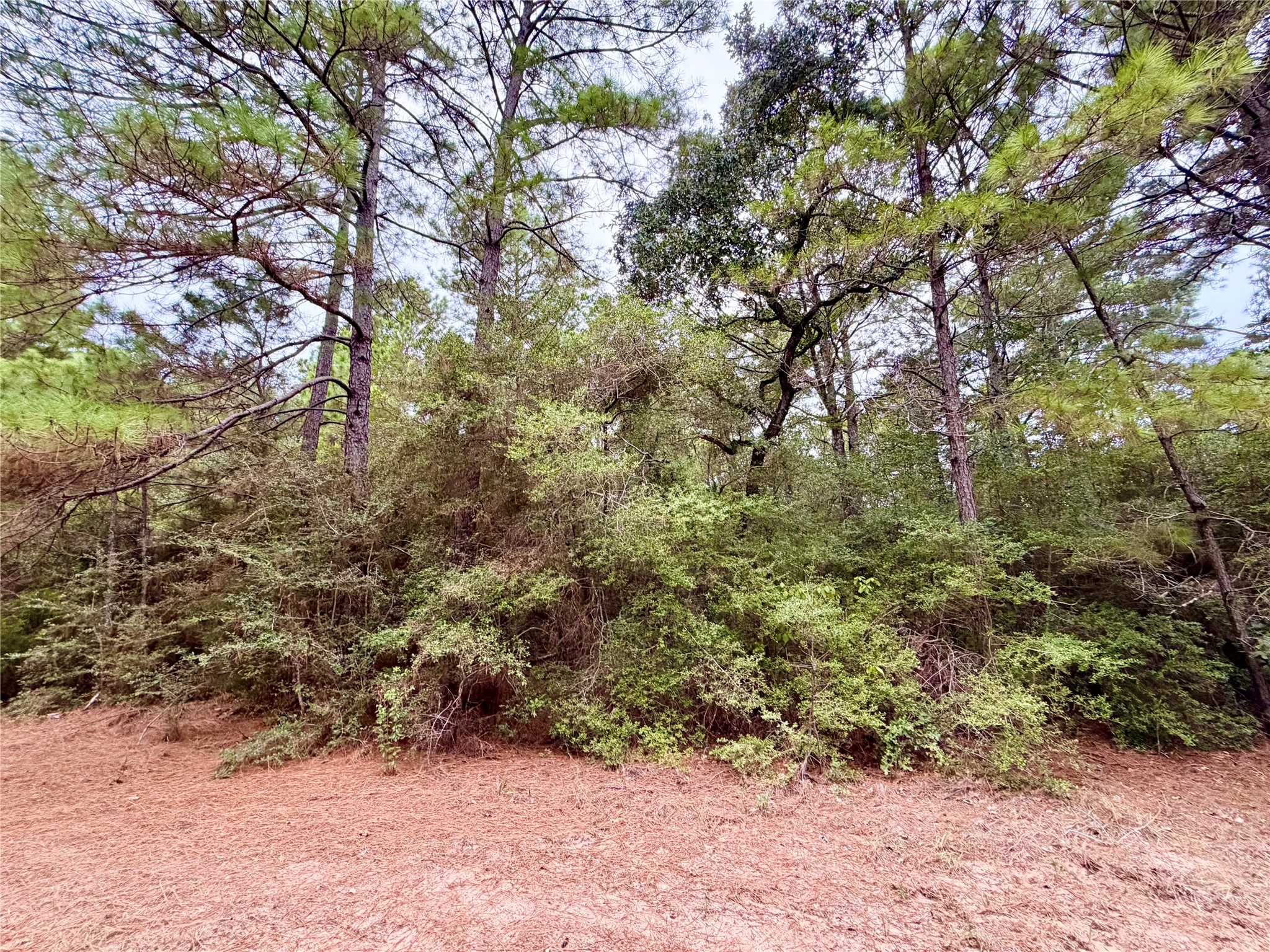 30819 Owl Drive, Hempstead, TX 77445
