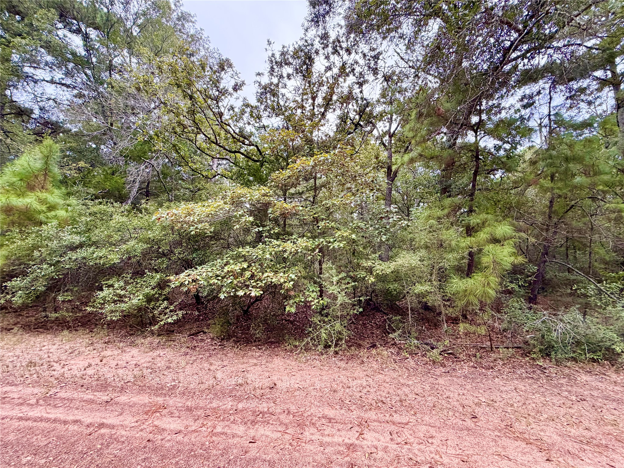 30819 Owl Drive, Hempstead, TX 77445