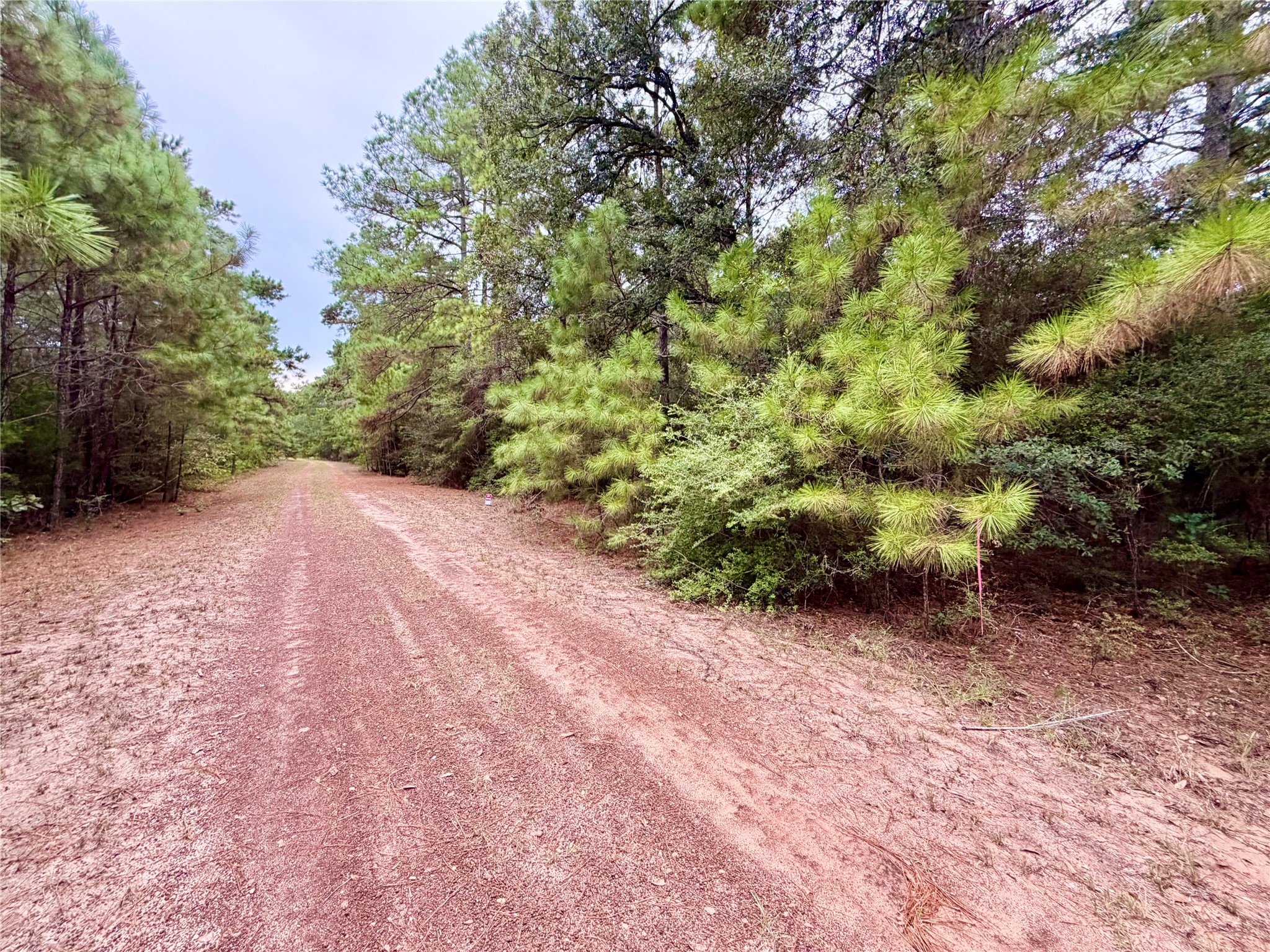 30819 Owl Drive, Hempstead, TX 77445
