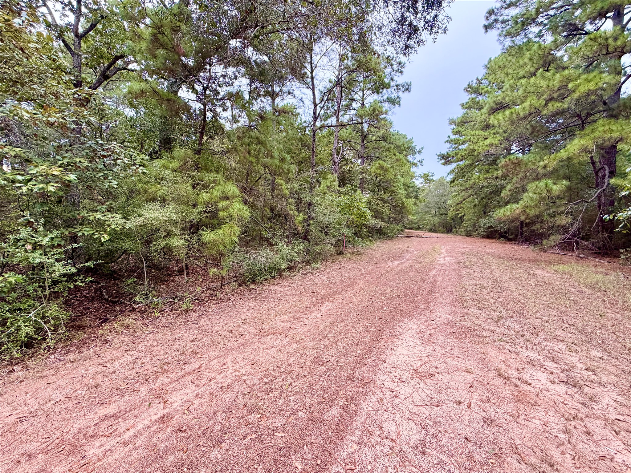 30819 Owl Drive, Hempstead, TX 77445 30819 Owl Drive, Hempstead, TX 77445