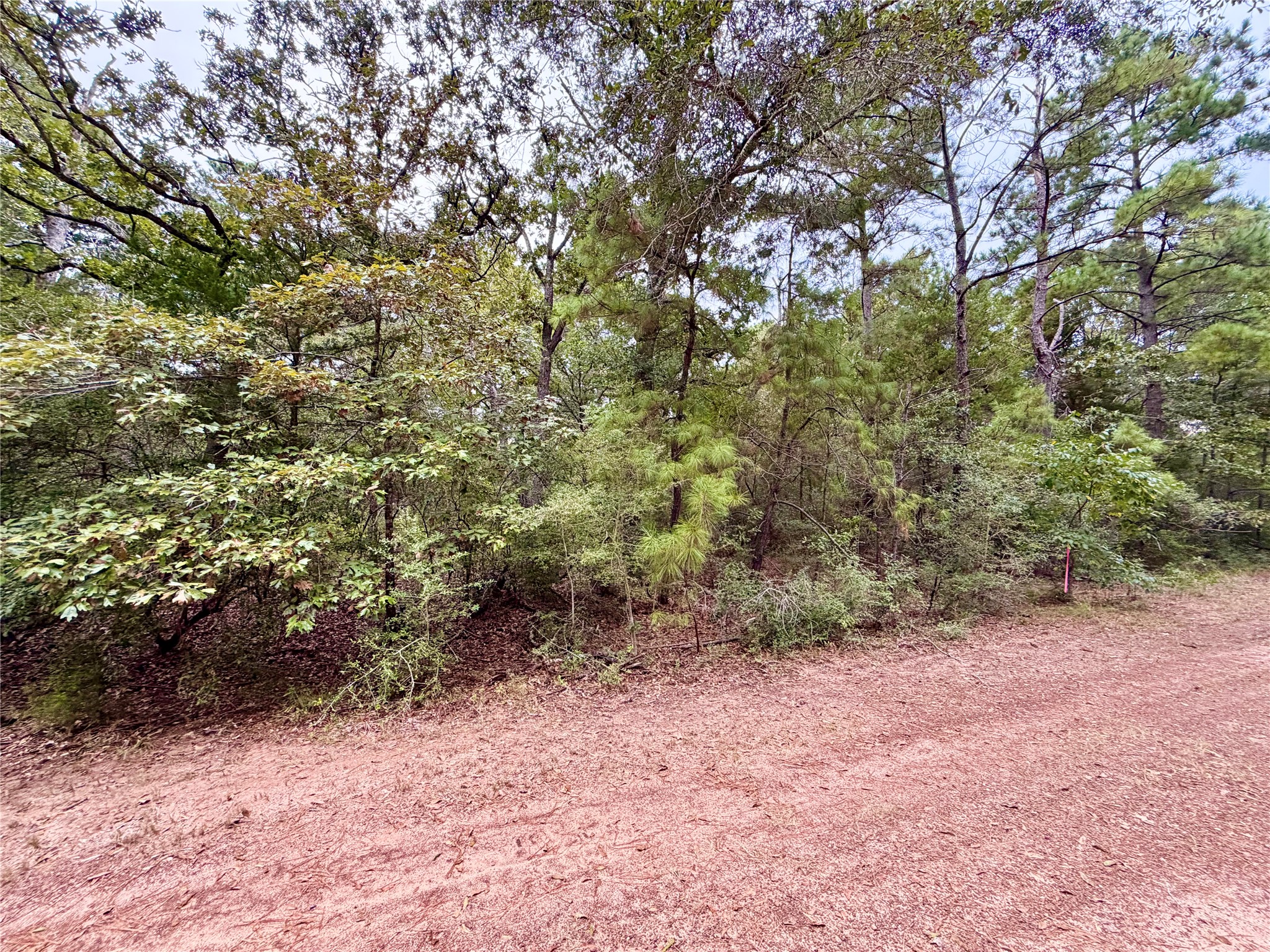 30819 Owl Drive, Hempstead, TX 77445