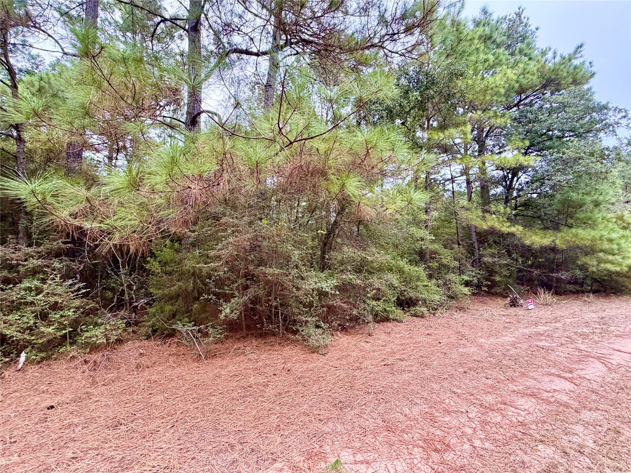 30819 Owl Drive, Hempstead, TX 77445
