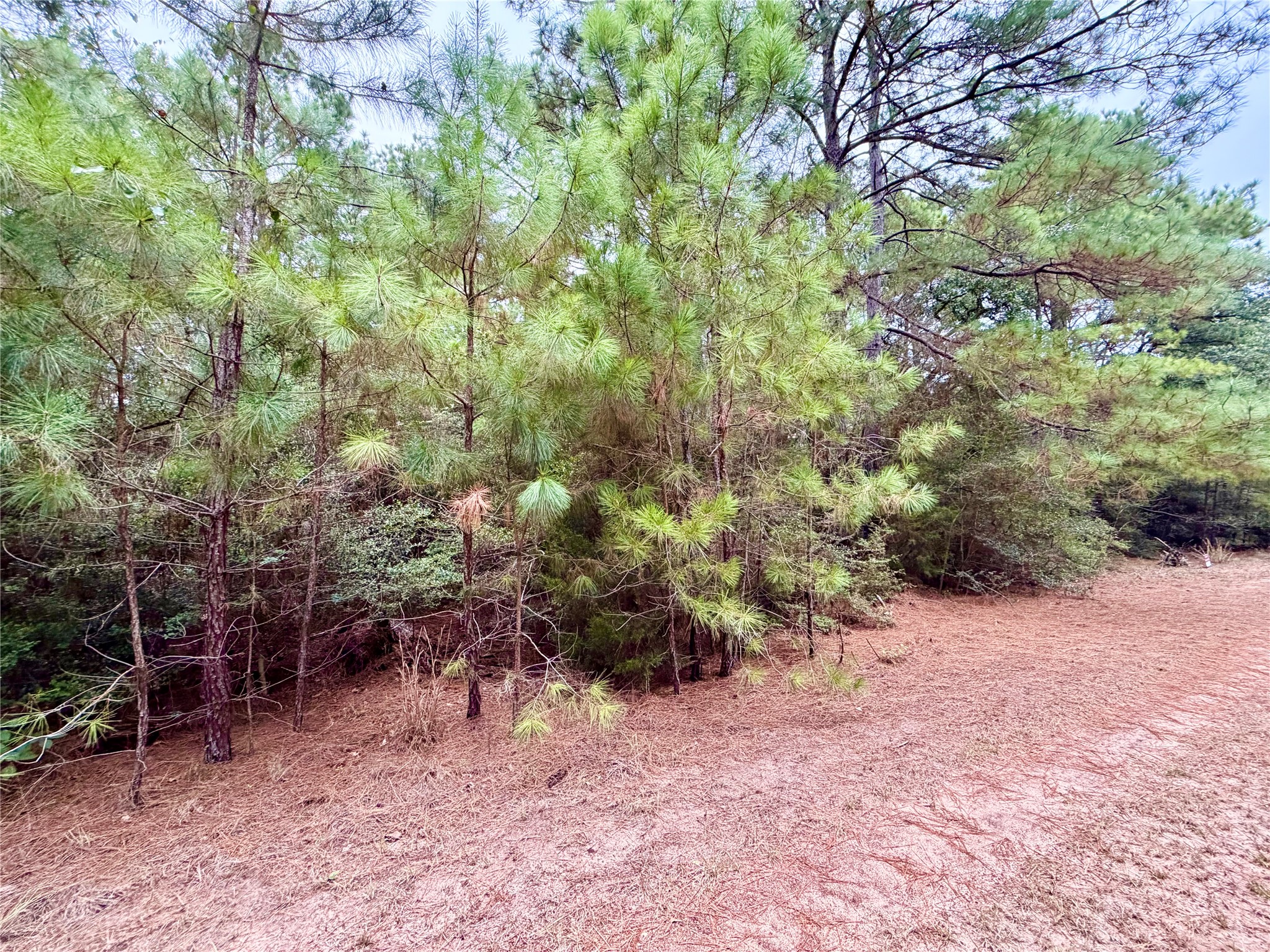 30819 Owl Drive, Hempstead, TX 77445