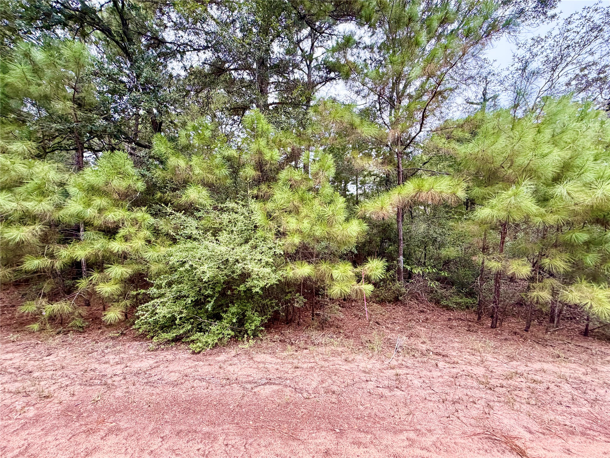 30819 Owl Drive, Hempstead, TX 77445