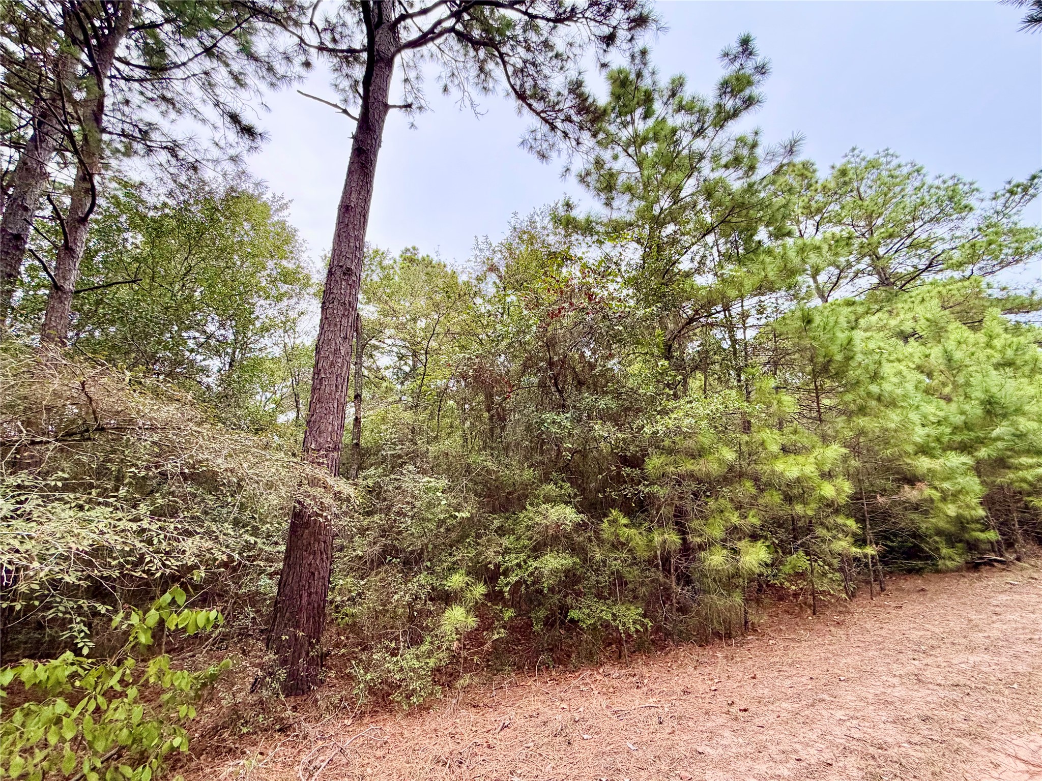 30819 Owl Drive, Hempstead, TX 77445