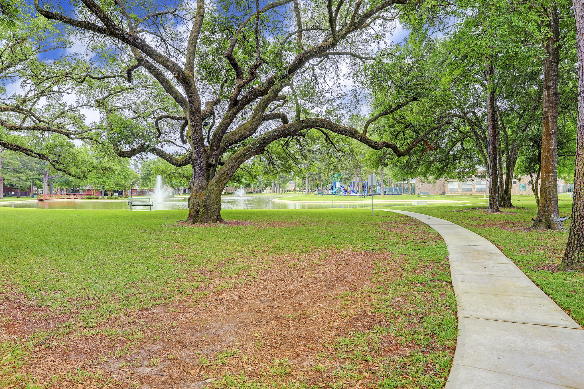 Lakewood Grove Park is flanked with centuries old oak trees!