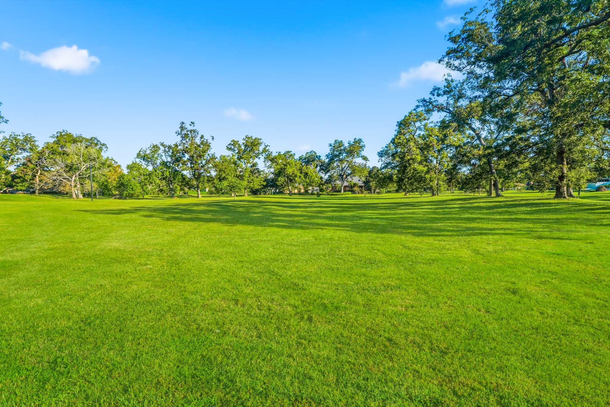 Green lawn with mature trees offers a serene, park-like setting perfect for relaxation and recreation.