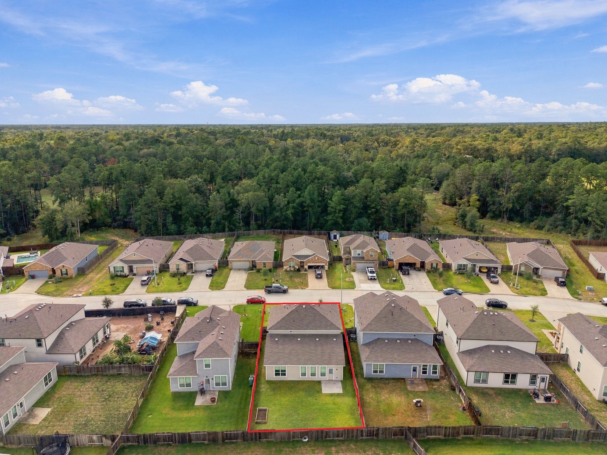 The aerial perspective highlights the mature trees and expansive wooded areas beyond the neighborhood, creating a scenic and inviting setting.