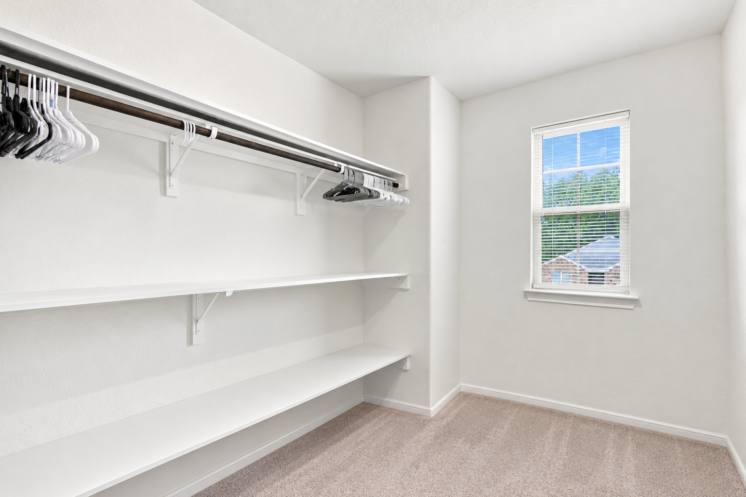 Virtually Arranged: This spacious walk-in closet features a bright, clean design with crisp white walls, soft neutral carpeting, and an abundance of natural light. Built-in white shelving provides generous storage and organization space, complemented by extended hanging rods with ample room for clothing and accessories.