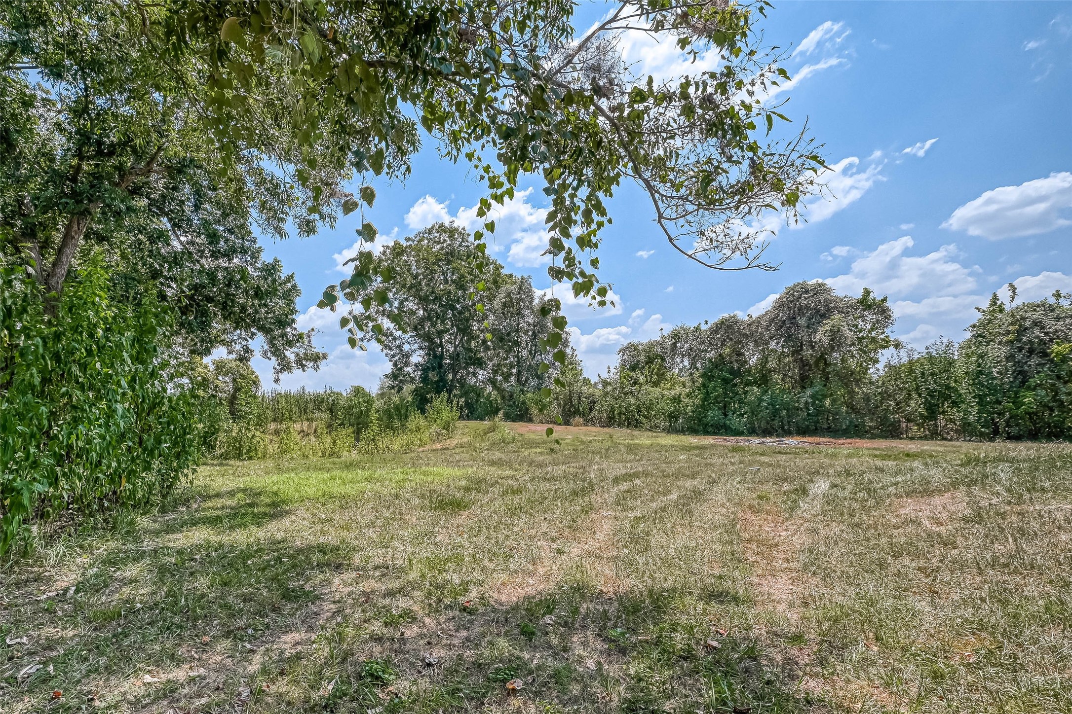 1502 Miller Road, Rosharon, TX 77583