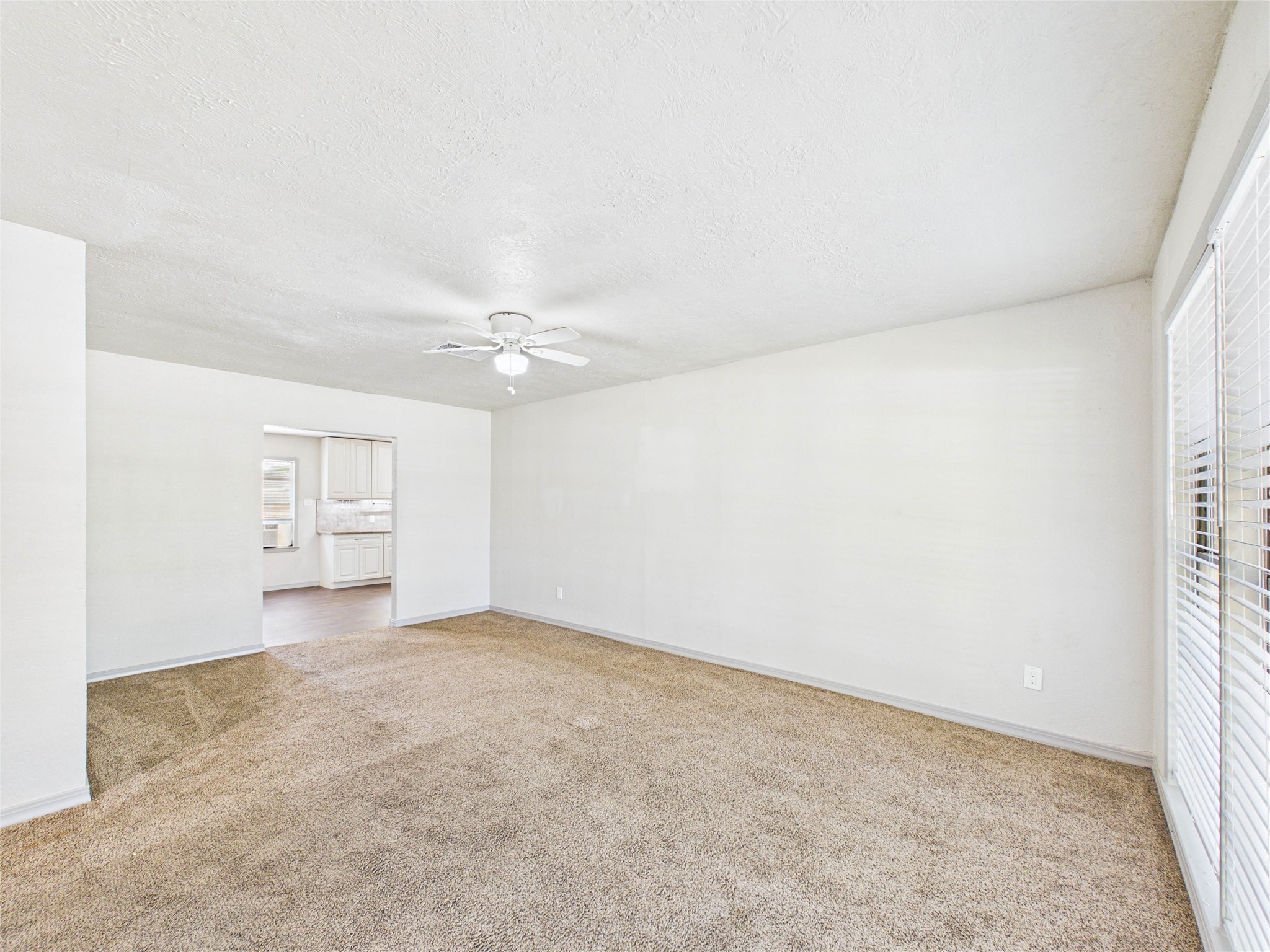 Great sized living room!
