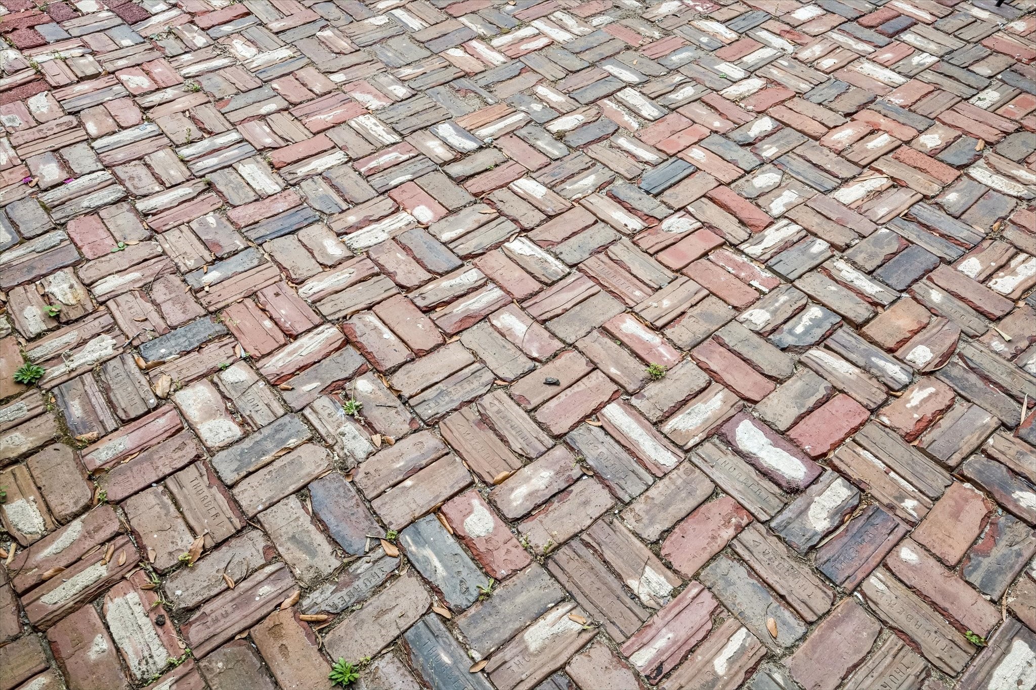 Vintage brick was used to create the backyard patio space