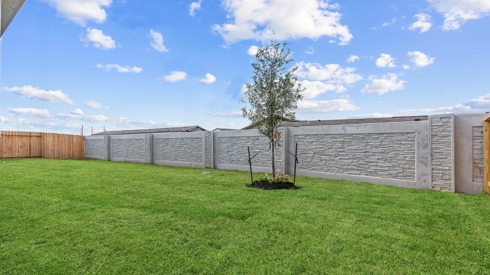 the spacious backyard fully fenced