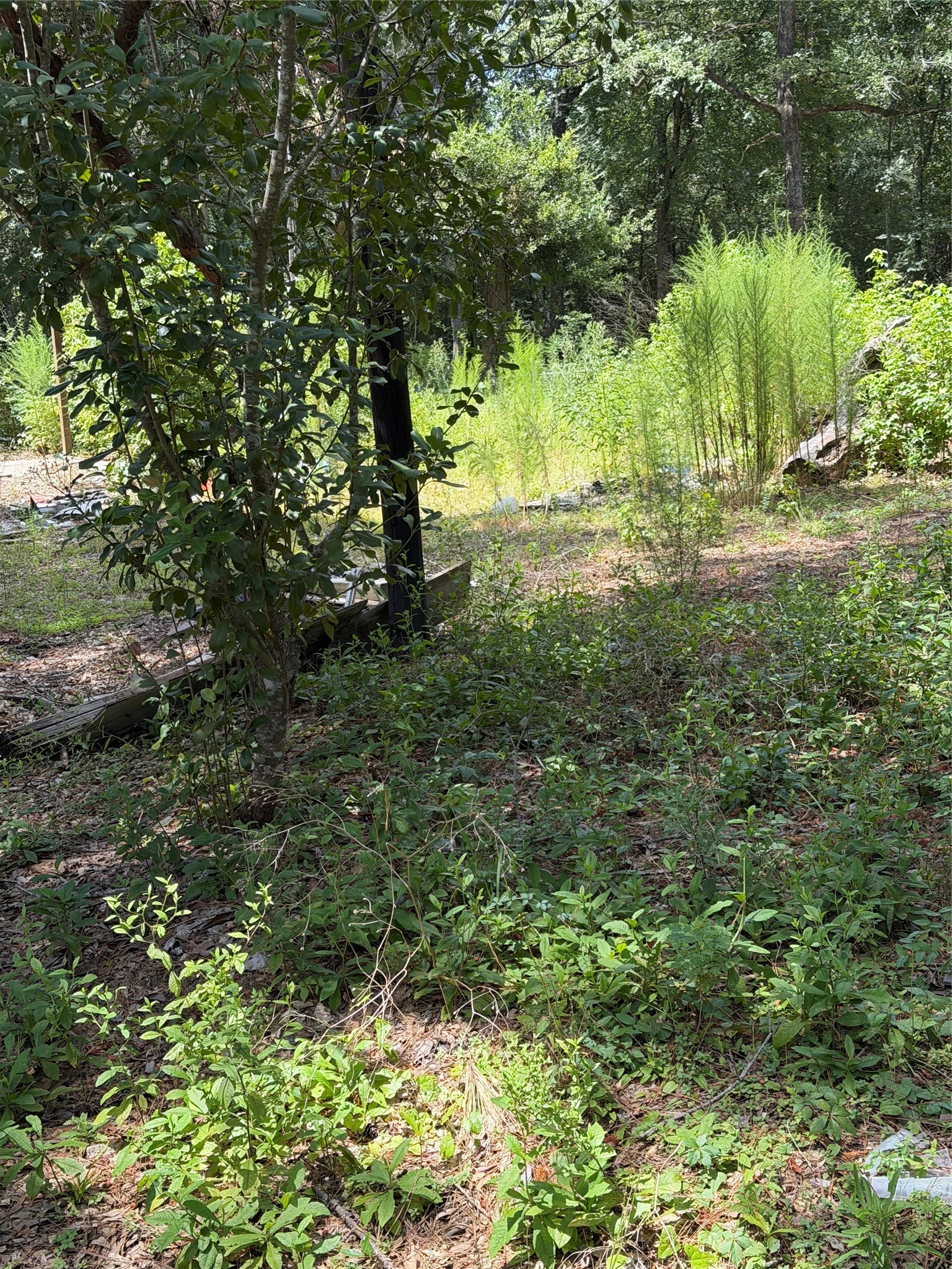 630 S Fm 1486 Road, Montgomery, TX 77316