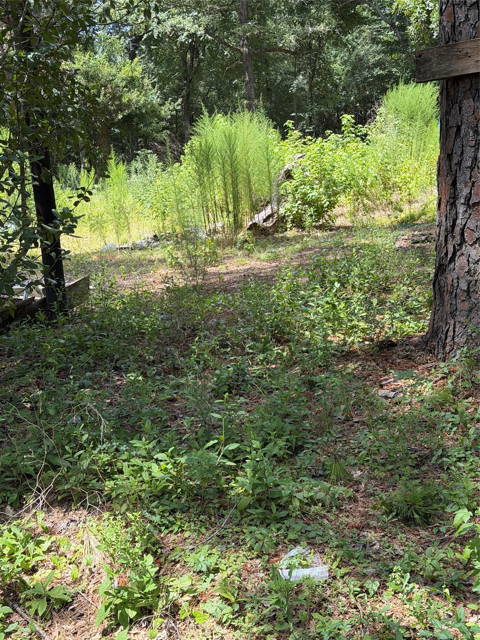 630 S Fm 1486 Road, Montgomery, TX 77316