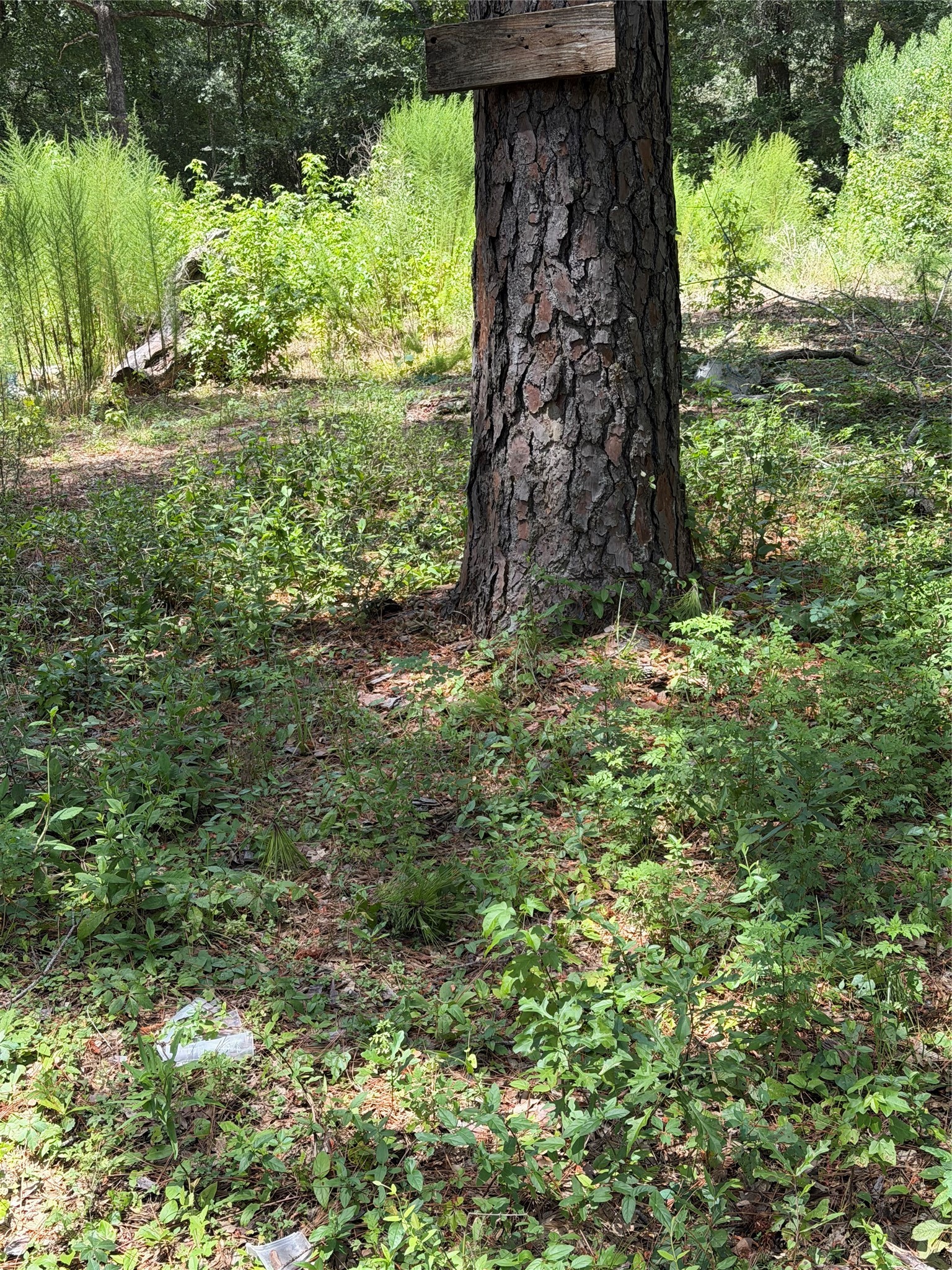 630 S Fm 1486 Road, Montgomery, TX 77316 630 S Fm 1486 Road, Montgomery, TX 77316