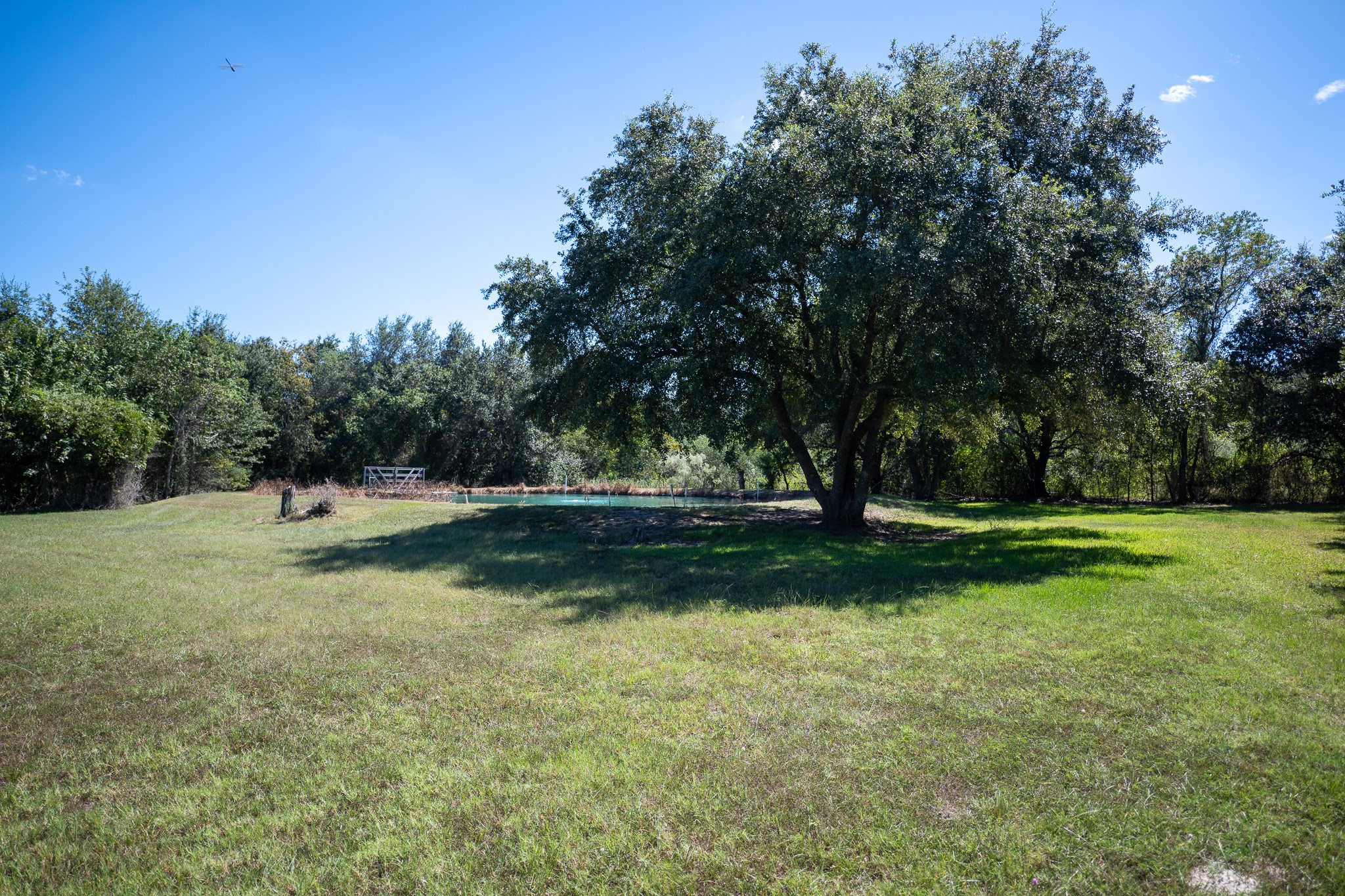 4430 Spears Road, #CR872, Manvel, TX 77578