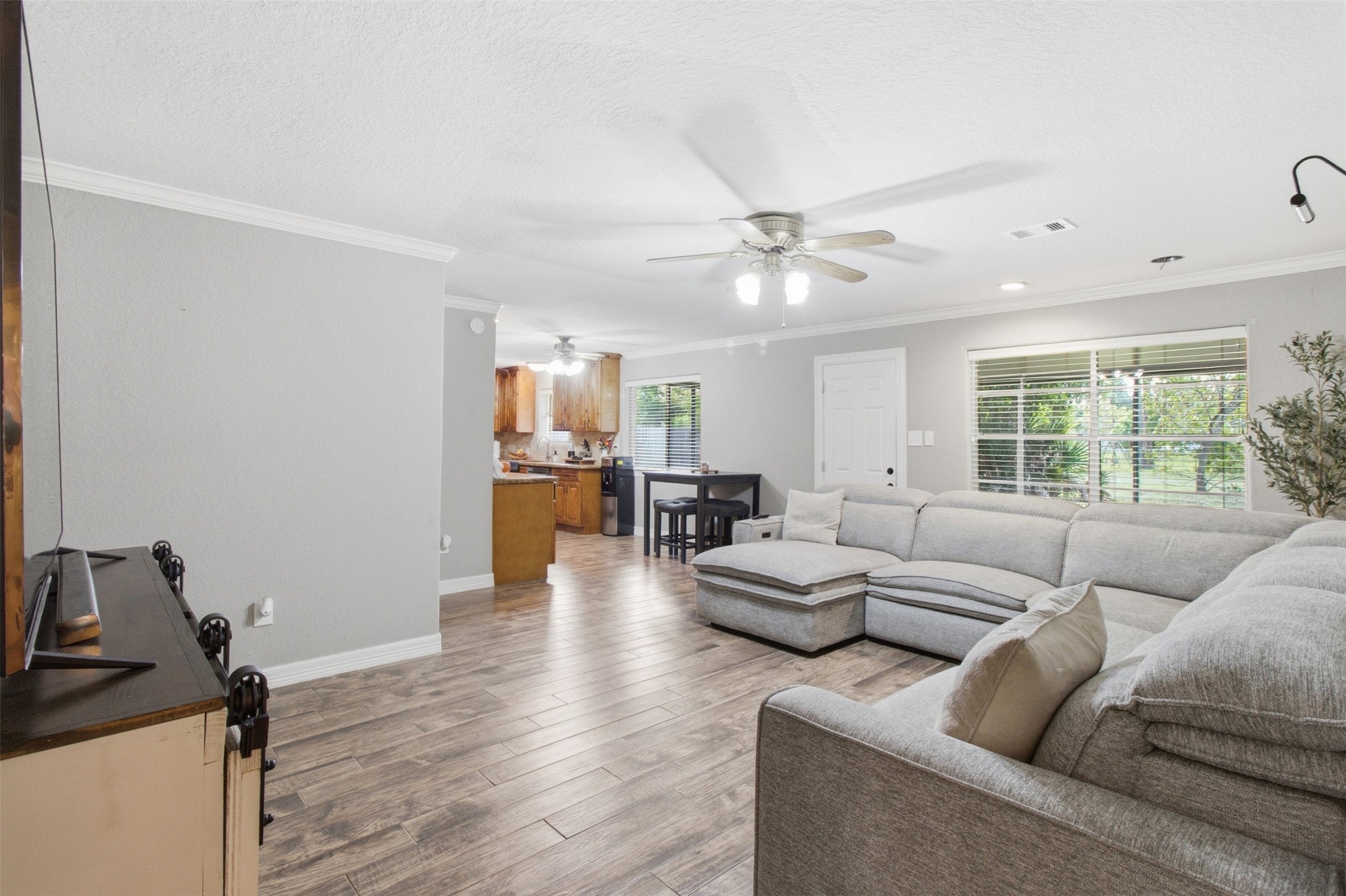 Living Room Open to Kitchen
