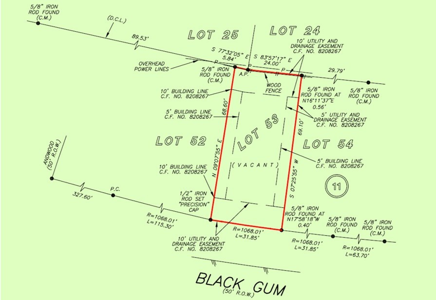 9764 Black Gum, Willis, TX 77318 9764 Black Gum, Willis, TX 77318