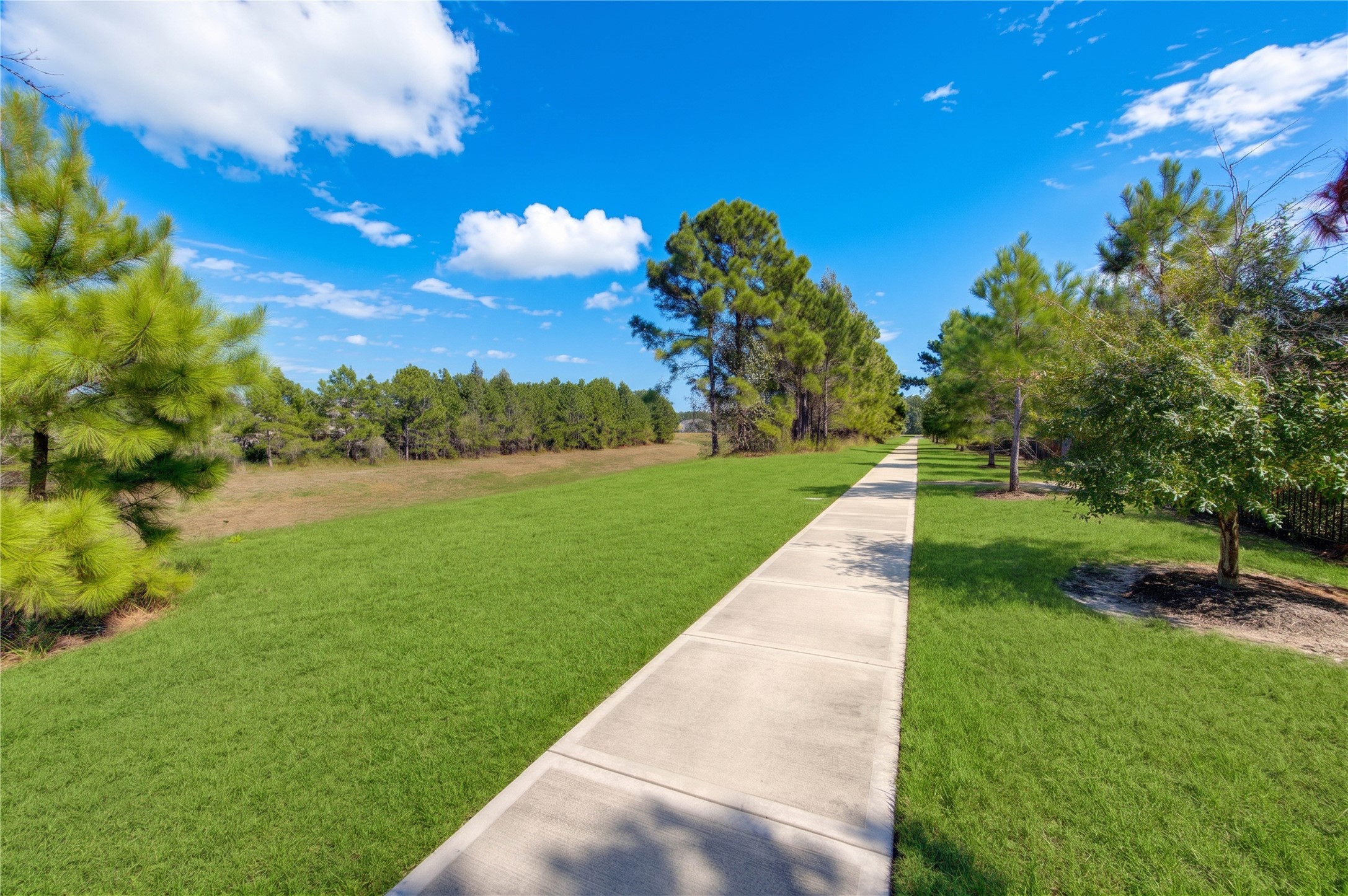 10147 Bayou Oaks Drive, Conroe, TX 77385