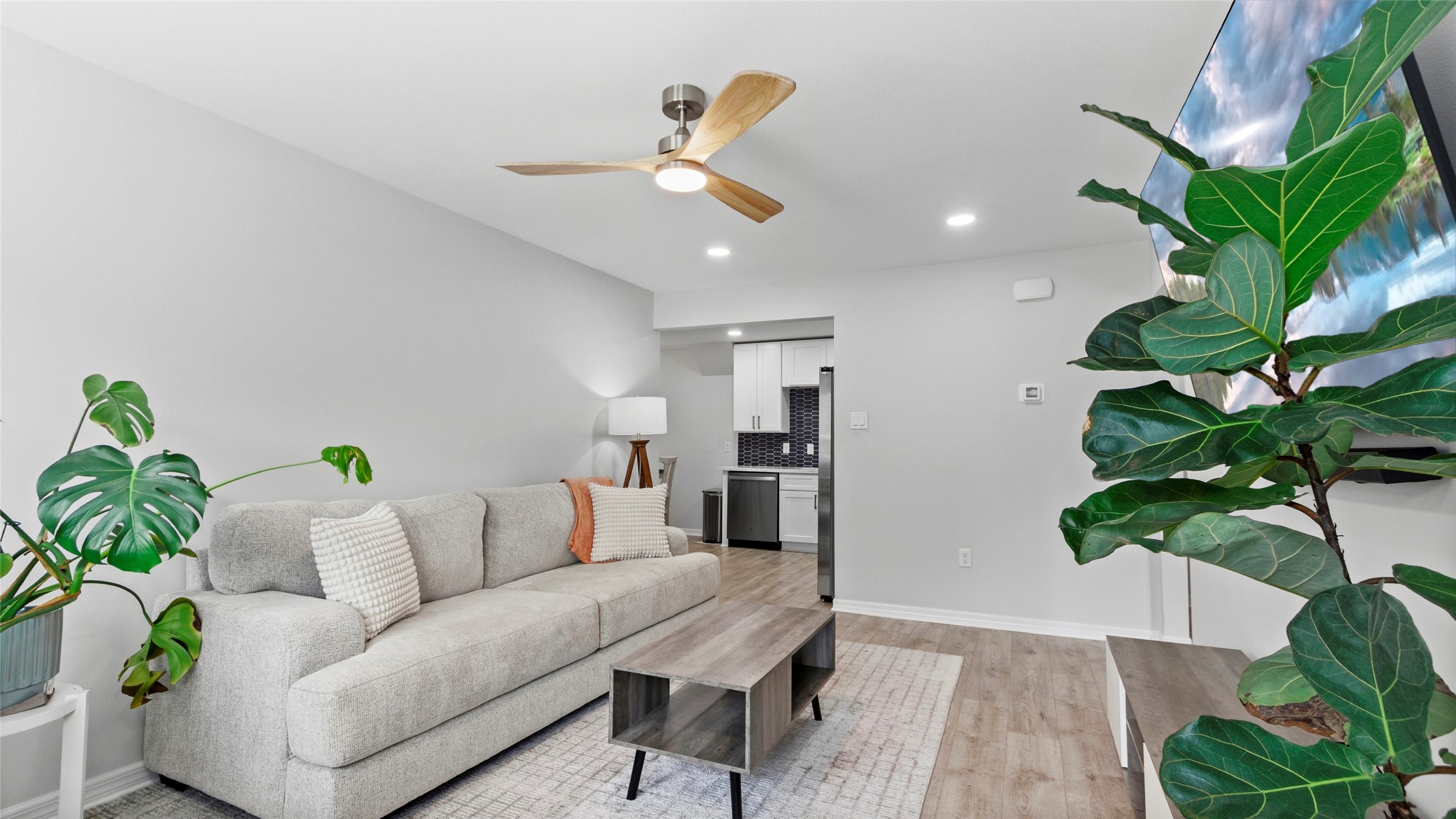 Entry into the livingroom