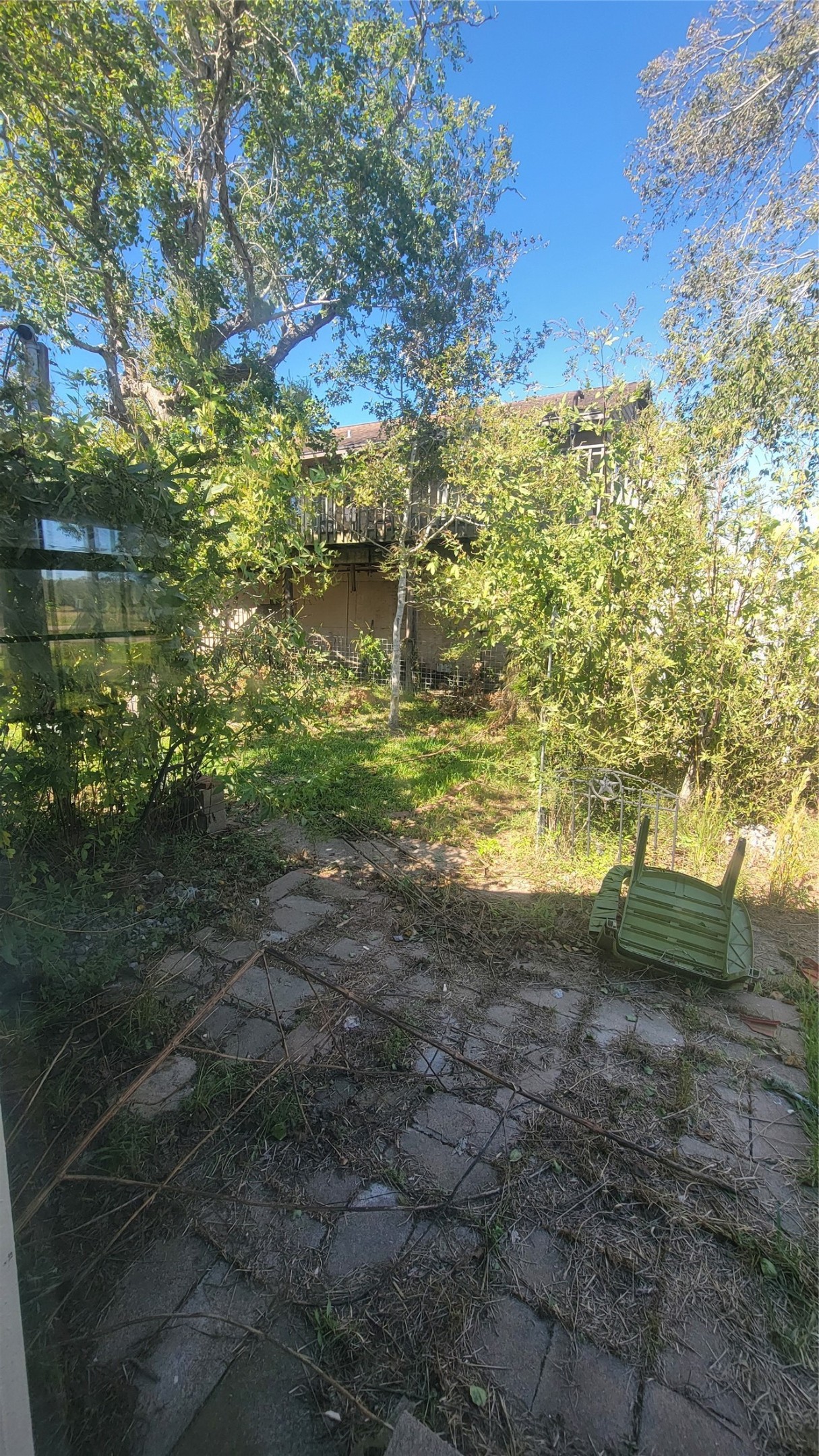 This photo shows a backyard area with a stone patio and overgrown vegetation. There are trees providing shade and a view of a neighboring building. The space has potential for landscaping and outdoor activities.