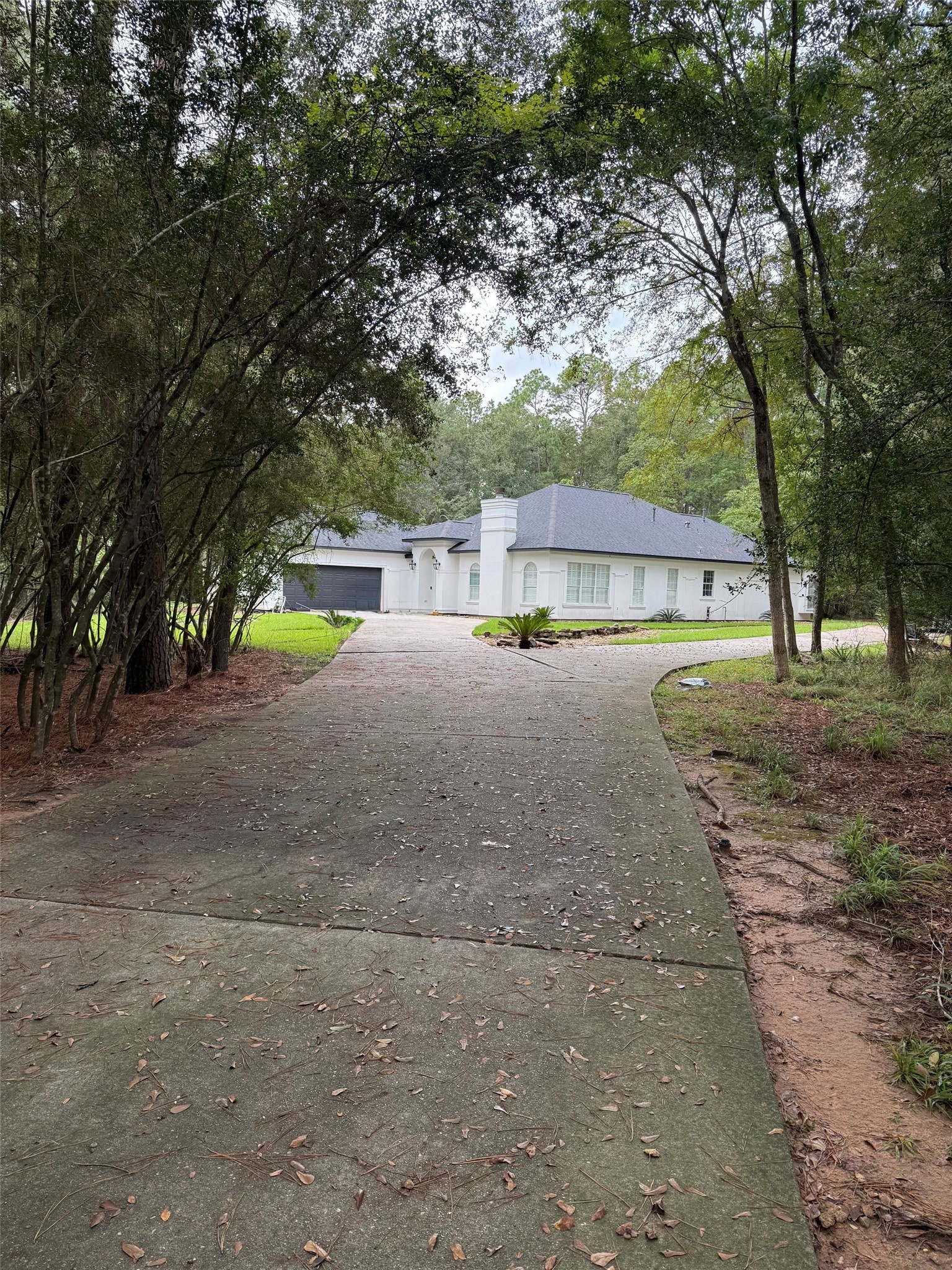 Tree lined driveway brings you home