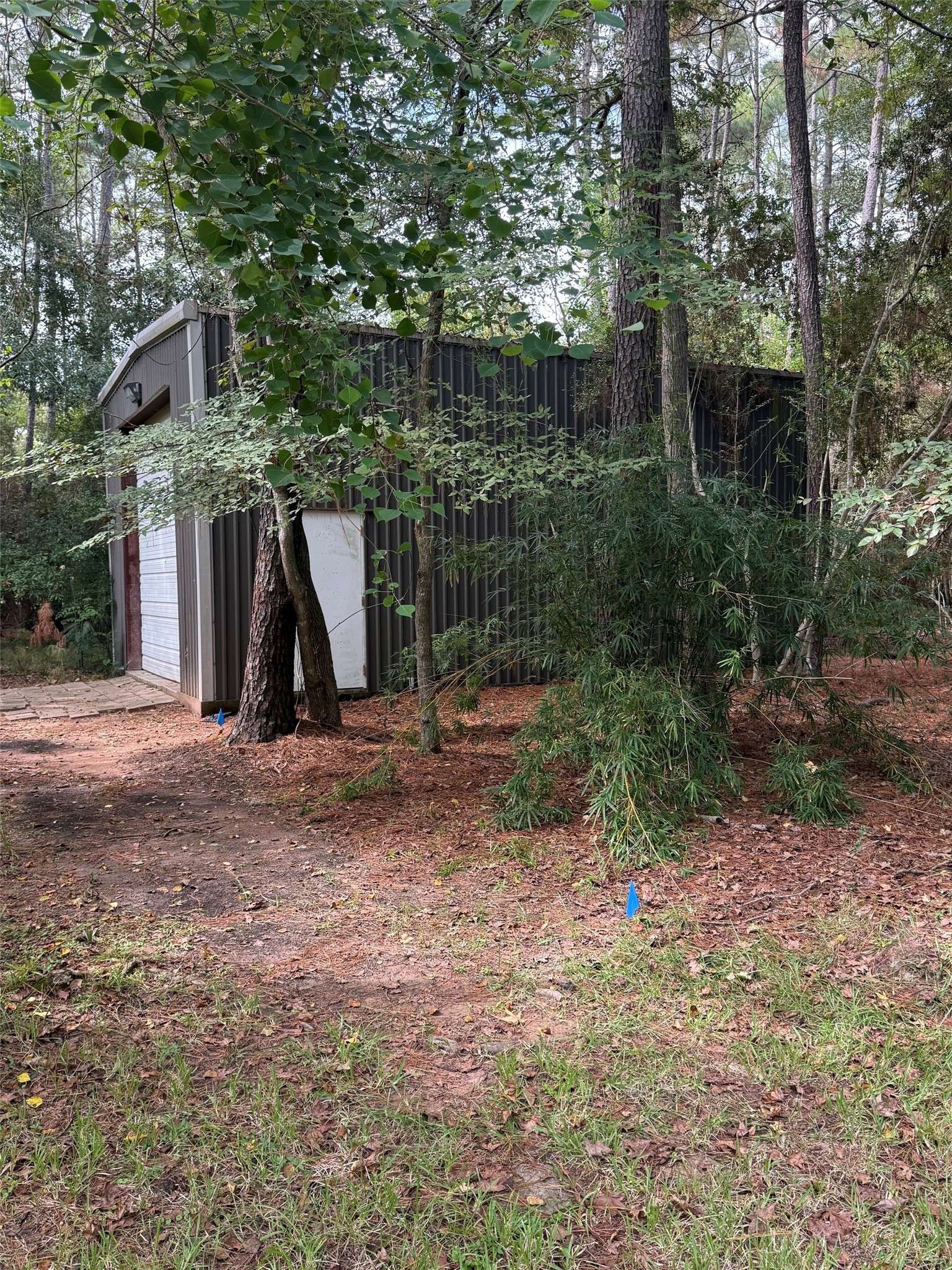 Shop from driveway area