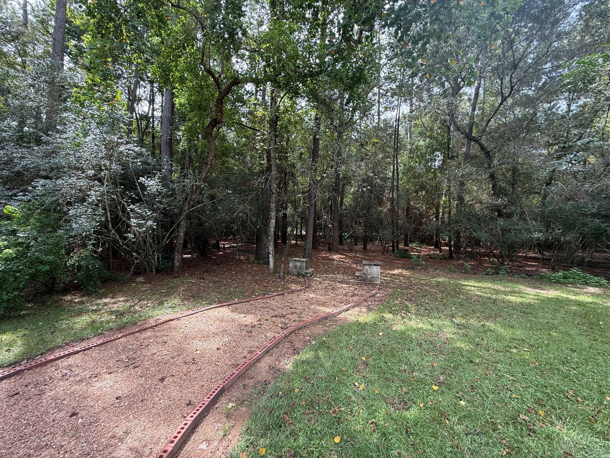Backyard path to play area