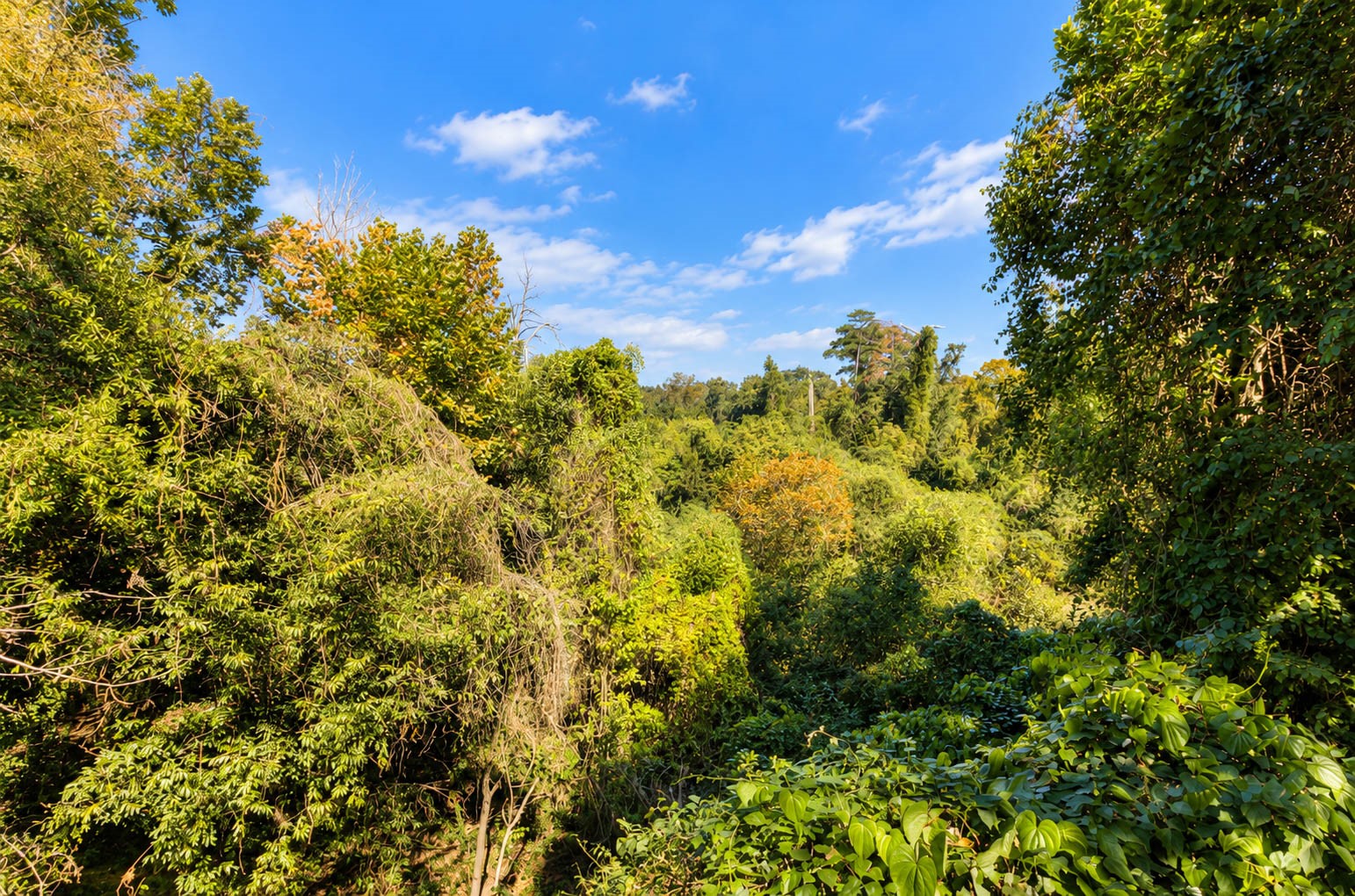 269 Chimney Rock Road, Houston, TX 77024