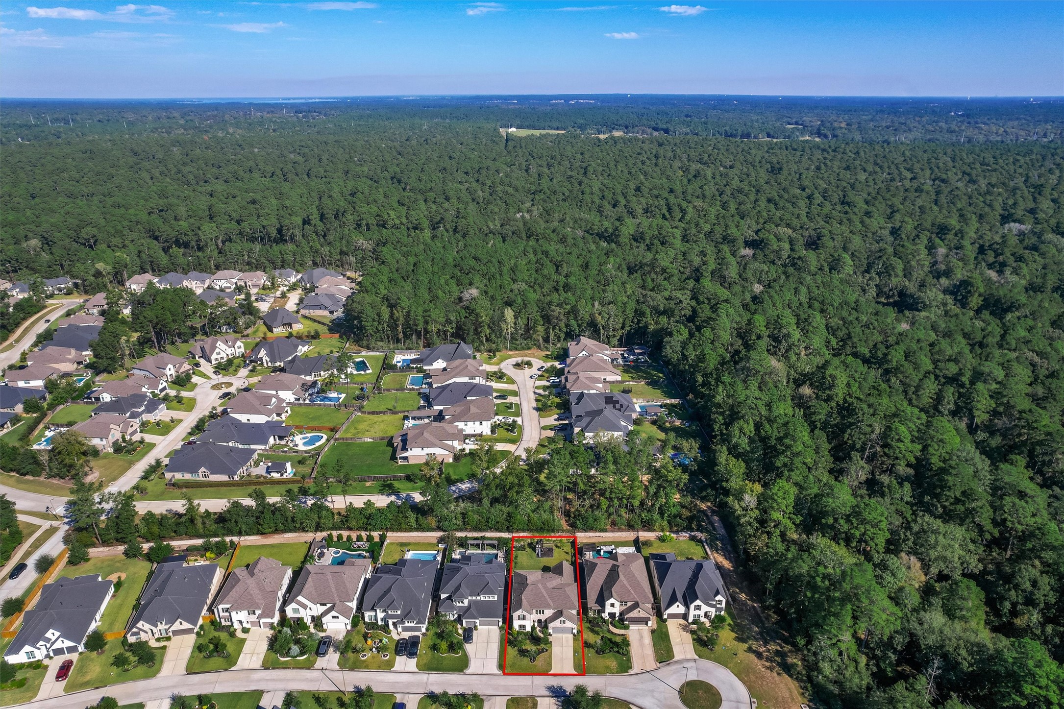 229 Patina Sorrel Drive, Montgomery, TX 77316