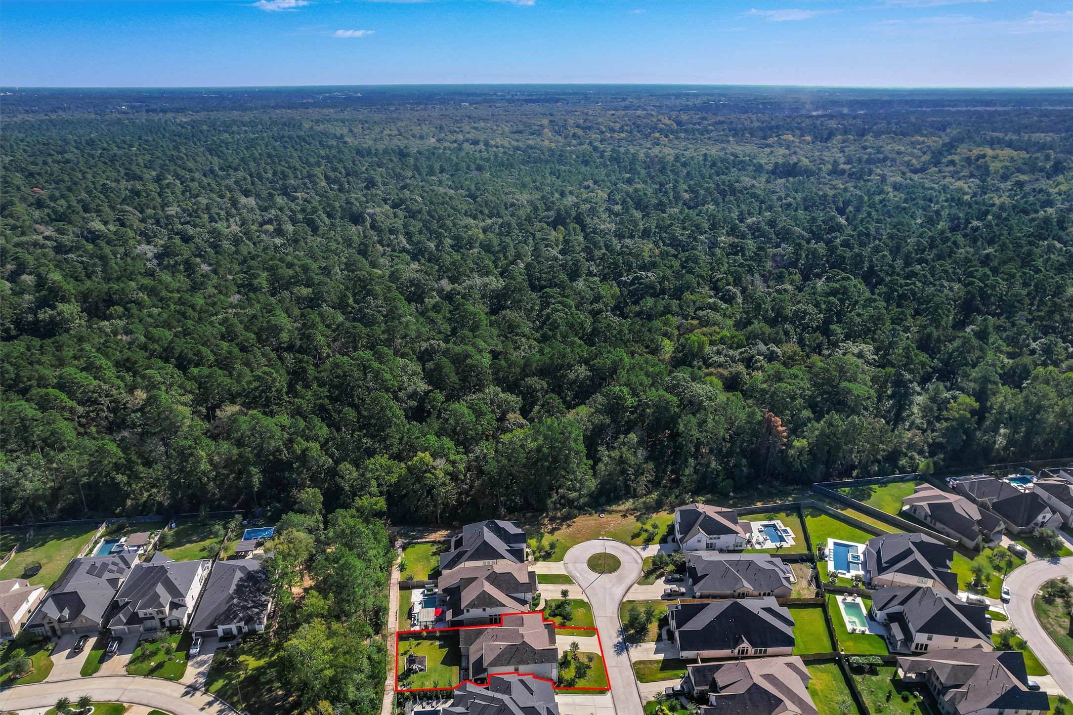 229 Patina Sorrel Drive, Montgomery, TX 77316
