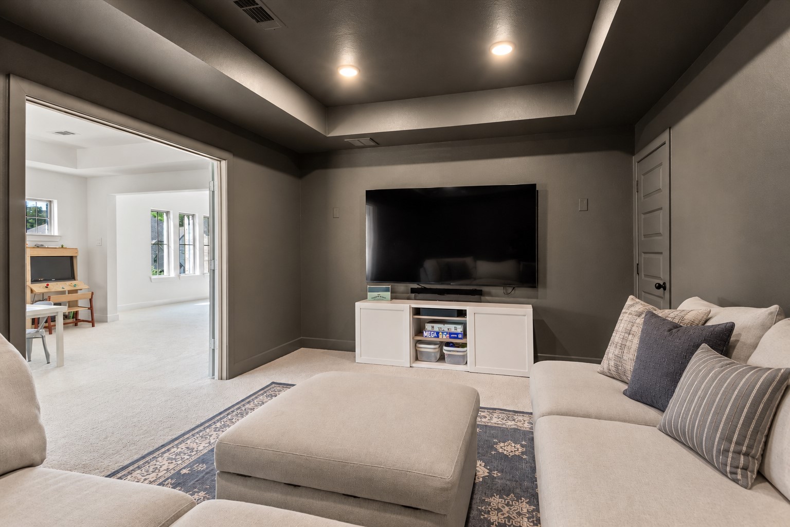 229 Patina Sorrel Drive, Montgomery, TX 77316