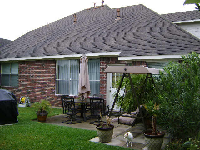 INJOY BACK YARD WITH MATURE BERRY TREE AND FRUIT TREE.